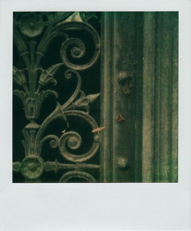 Feuilles mortes,  2008 