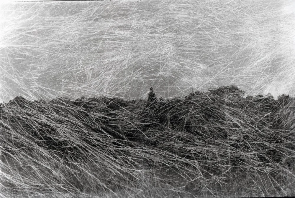 Lost Horzions,  2022 