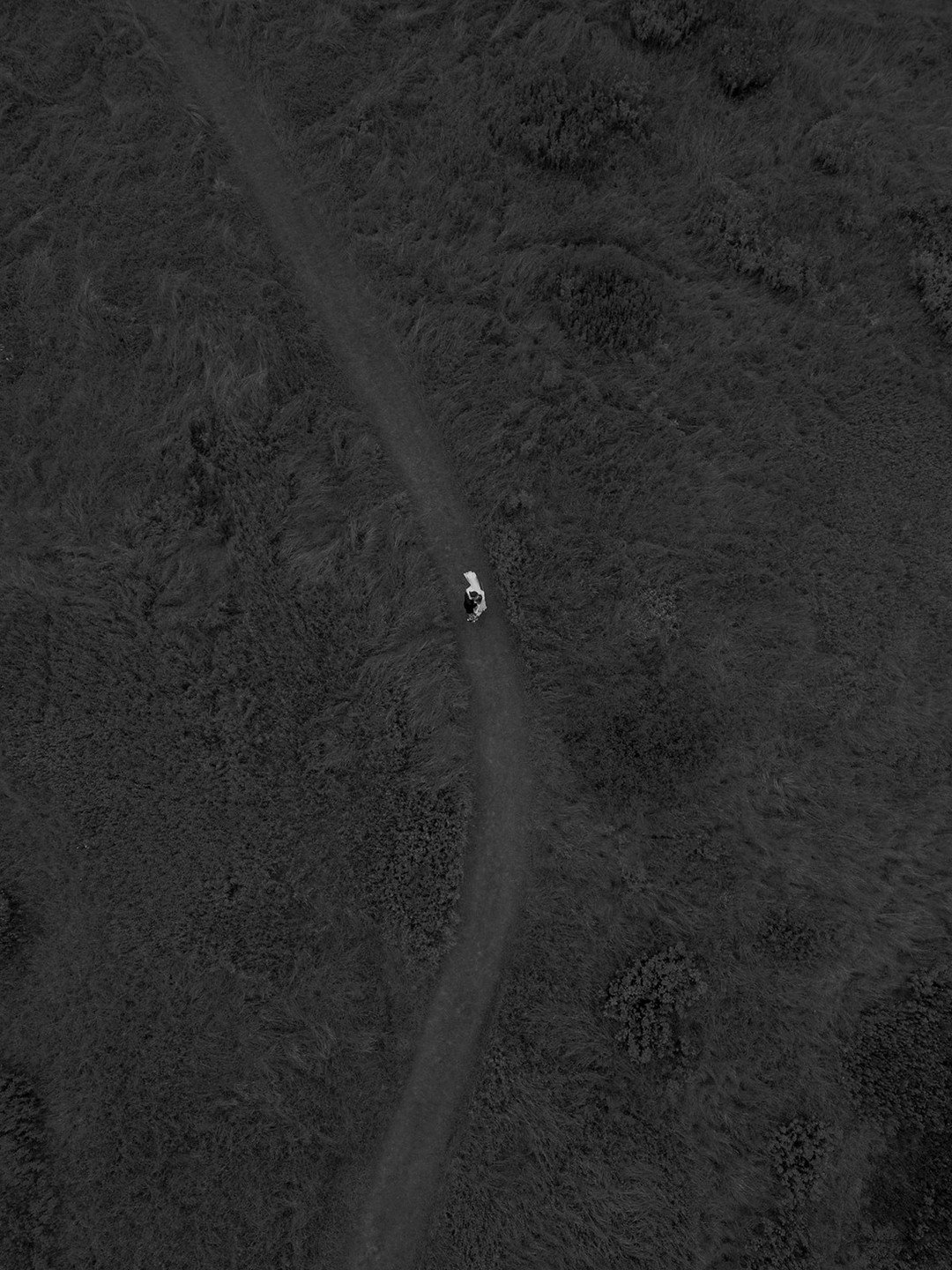 Winding paths carved through the property invited guests to meander slowly, prosecco in hand. Perfect for soaking it all in and for stunning drone shots like this.

The land was vast and full of possibilities, offering countless spots for portraits. 