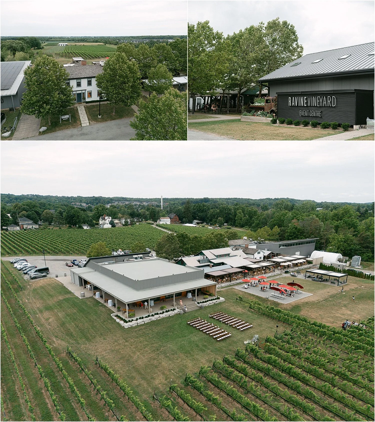 Ravine-Vineyard-Estate-Winery-Wedding-NOTL-3.jpg