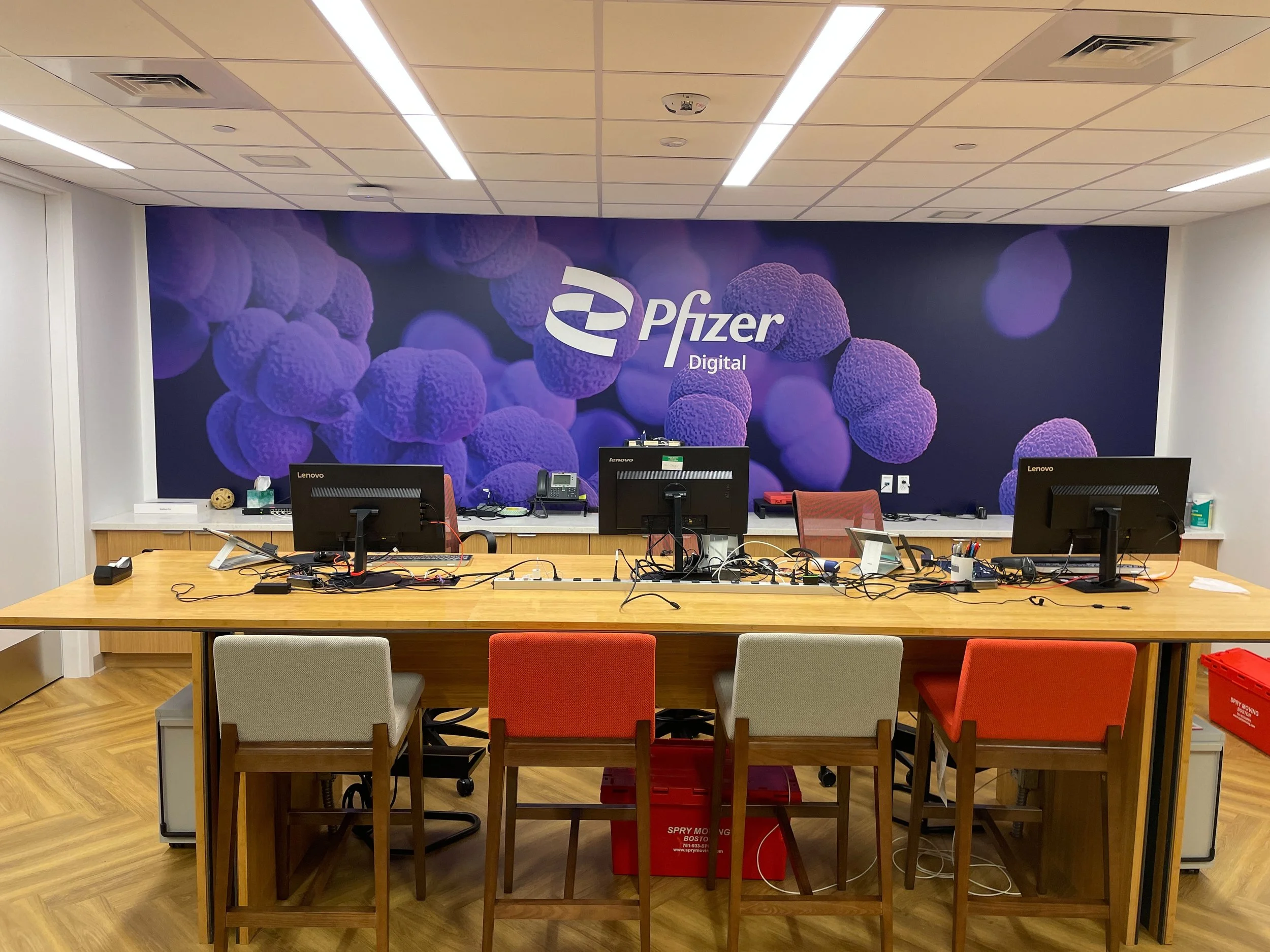 Pfizer KSQ2 Levels 4 & 5