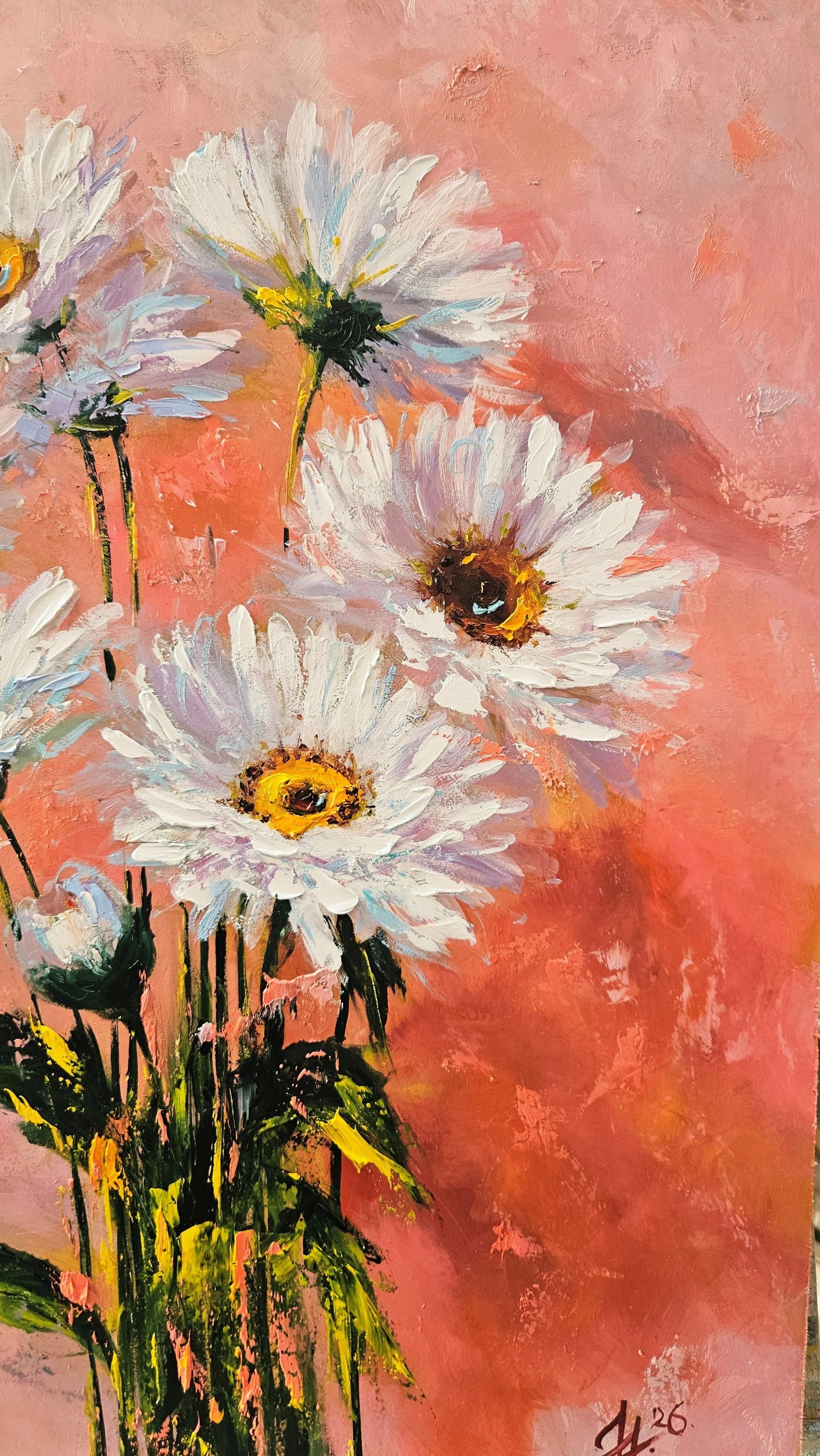 Biele margaréty na ružovom pozadí. Zátišie s kvetmi. Ručne maľovaný obraz kvetov na predaj.