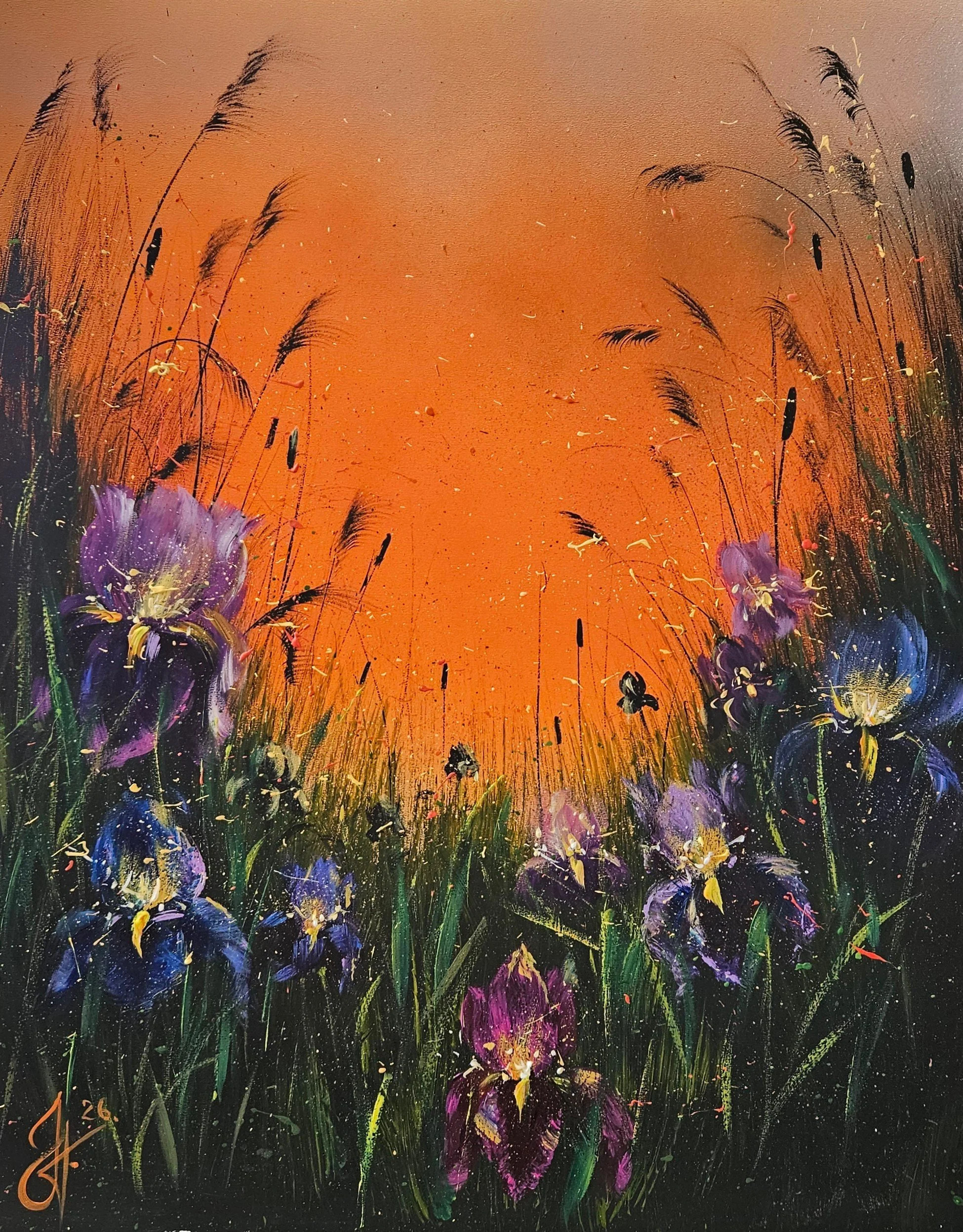 Irisy na lúke - 40x50 cm