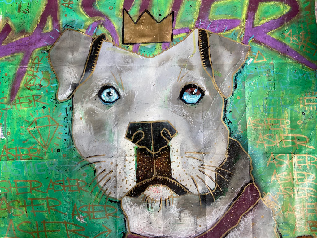 dog