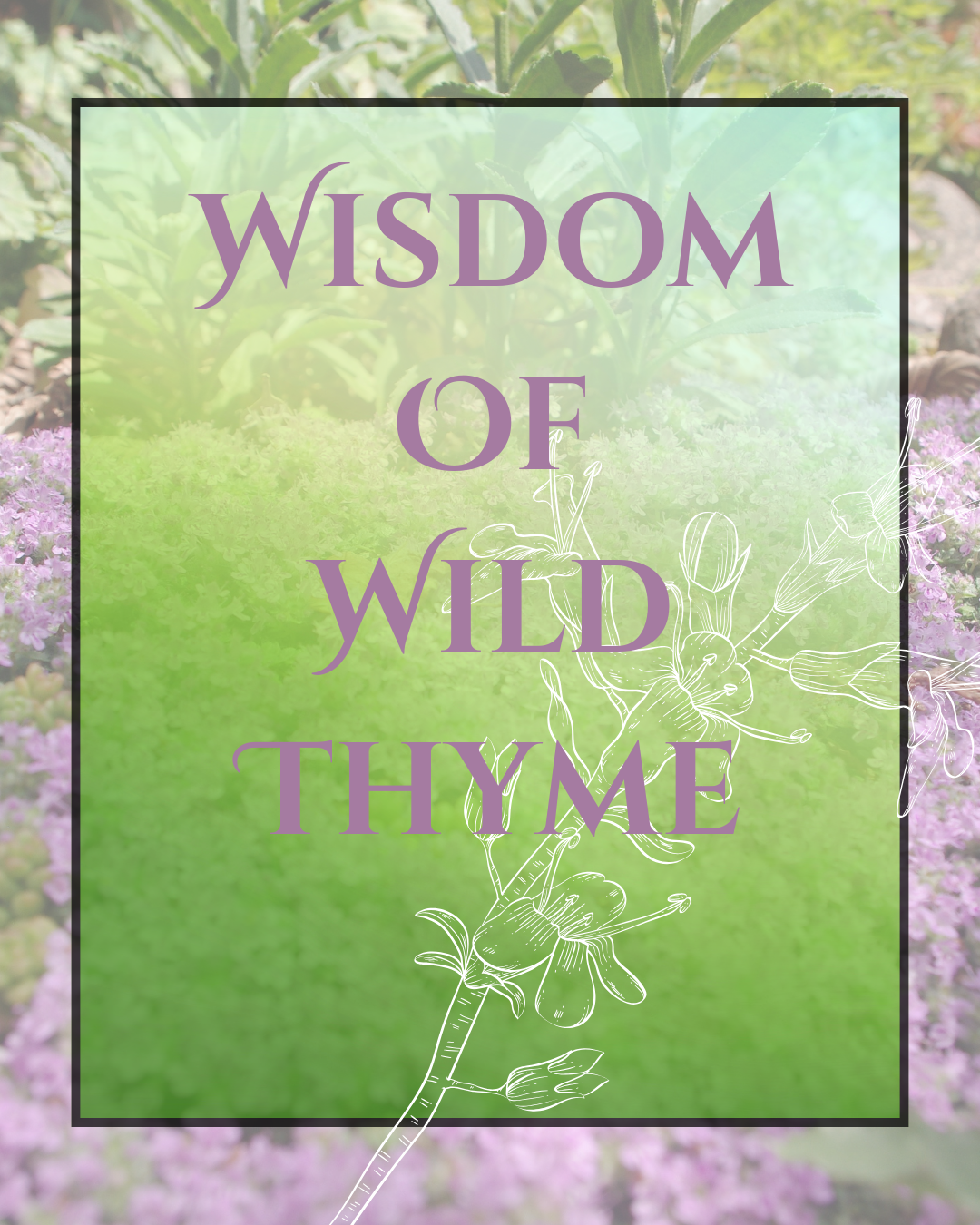 Wisdom Of Wild Thyme (3).png