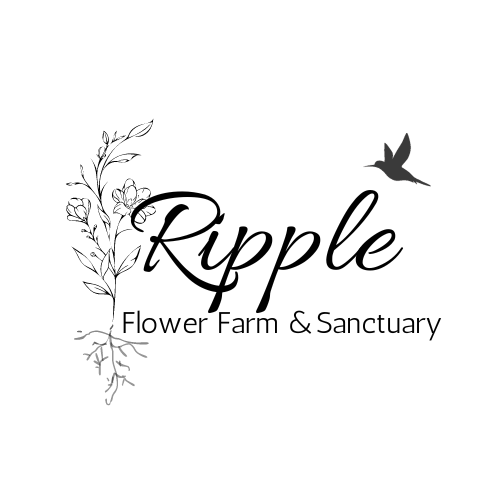 Ripple Cut Flower Farm