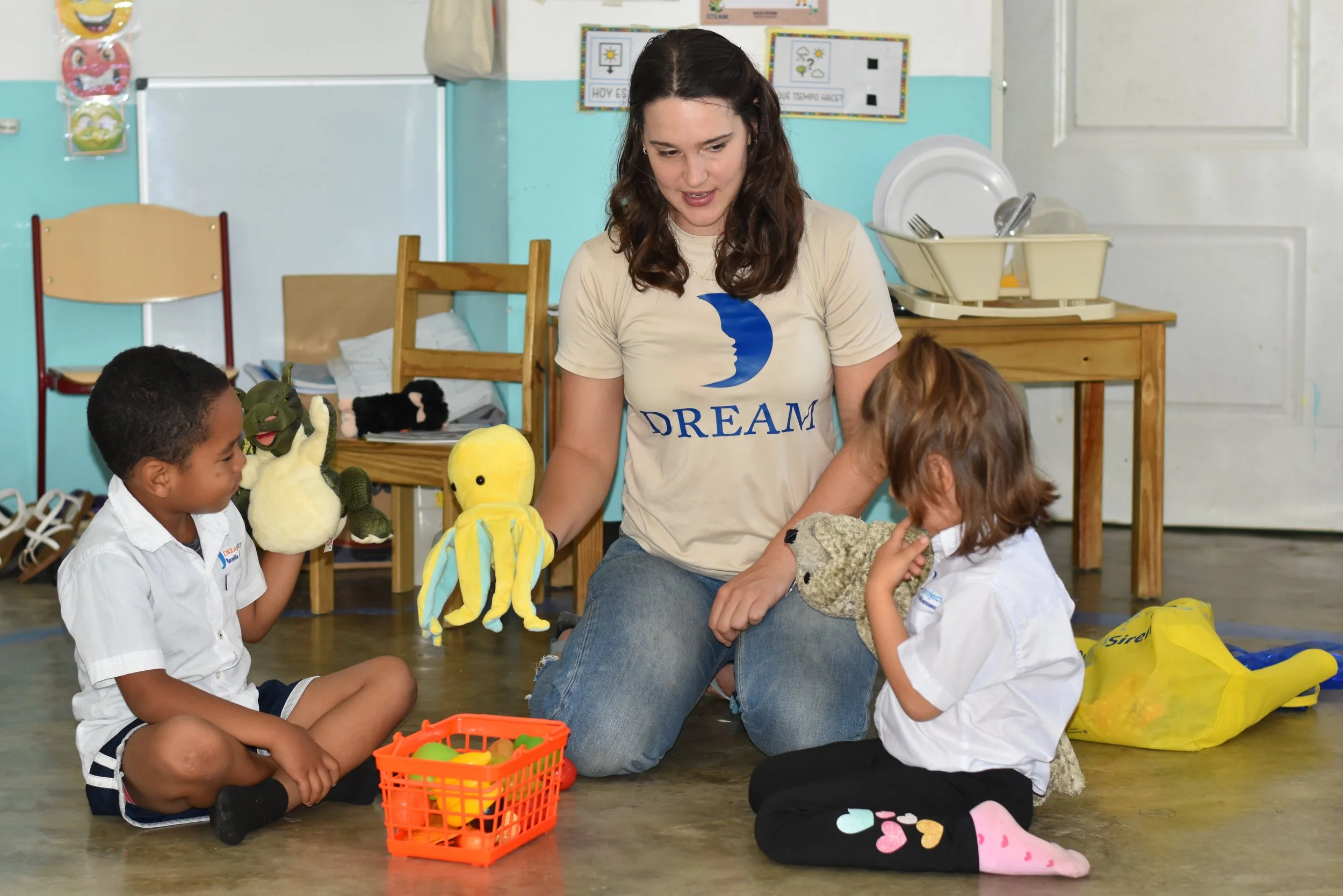 Yearlong Fellow — The DREAM Project