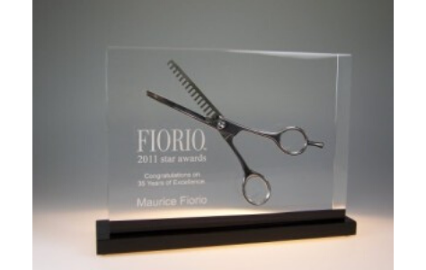 What Can Be Embedded in Lucite to Create a Distinctive Award?