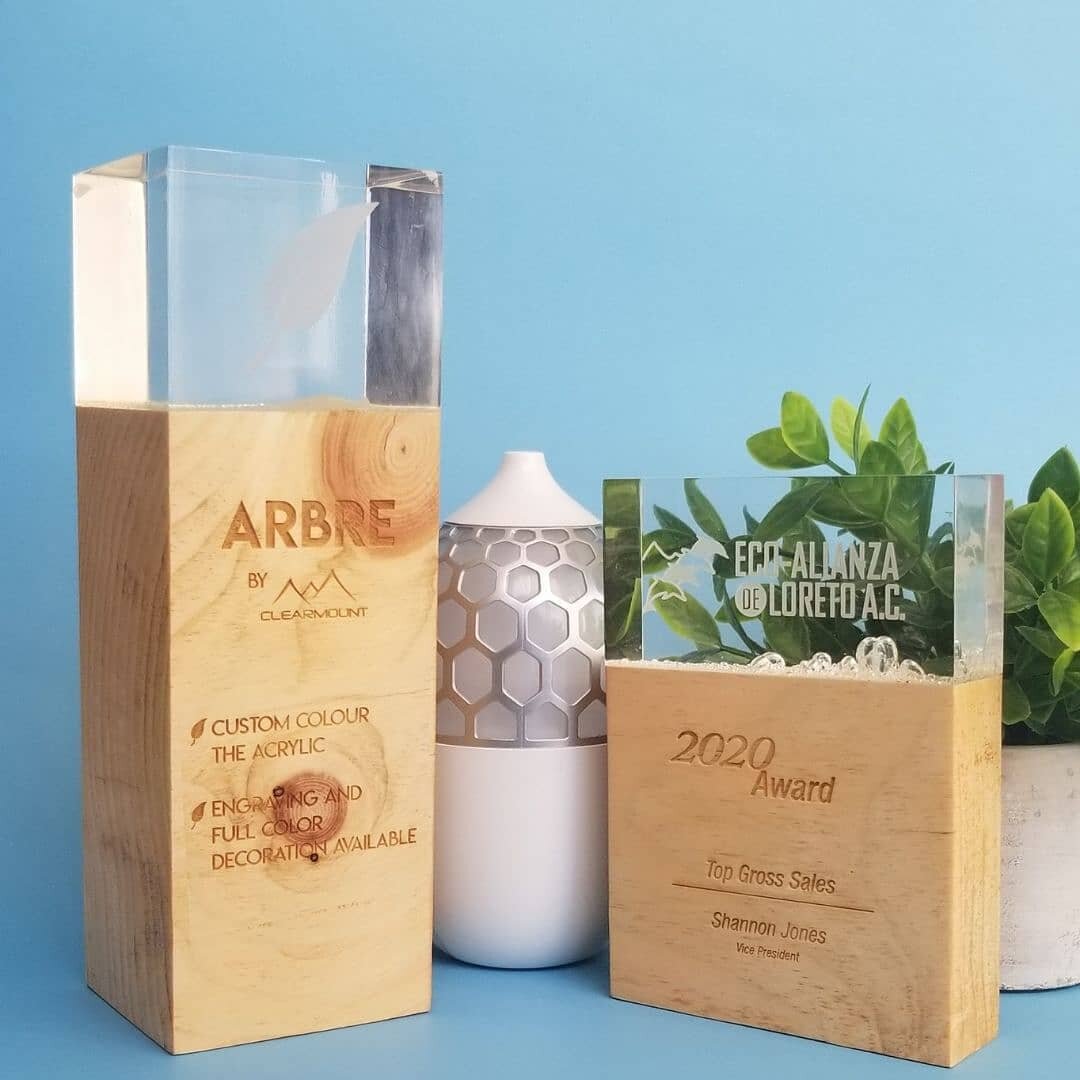 Meet Arbre, a sustainable custom award collection. ⁠
⁠➡️Reclaimed Canadian wood and air-dried in Canada⁠
➡️Your sustainable award can combine both the wood and Lucite elements to create a one-of-a-kind recognition product. ⁠
➡️Engraving, Full Colour 