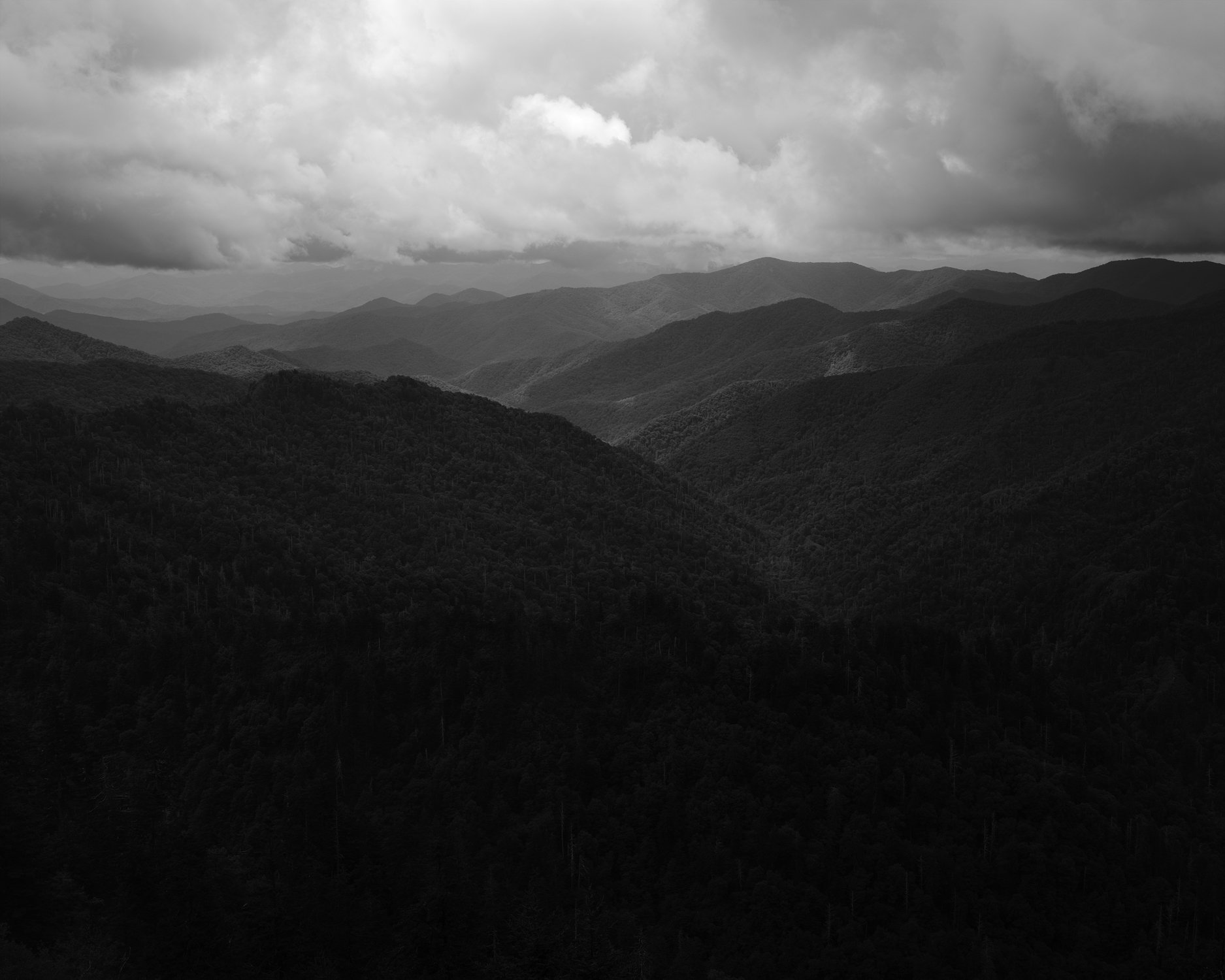 40_From_Bradley's_View_Great_Smoky_Mountains_Tennessee_Monday_July_12_2021.jpg