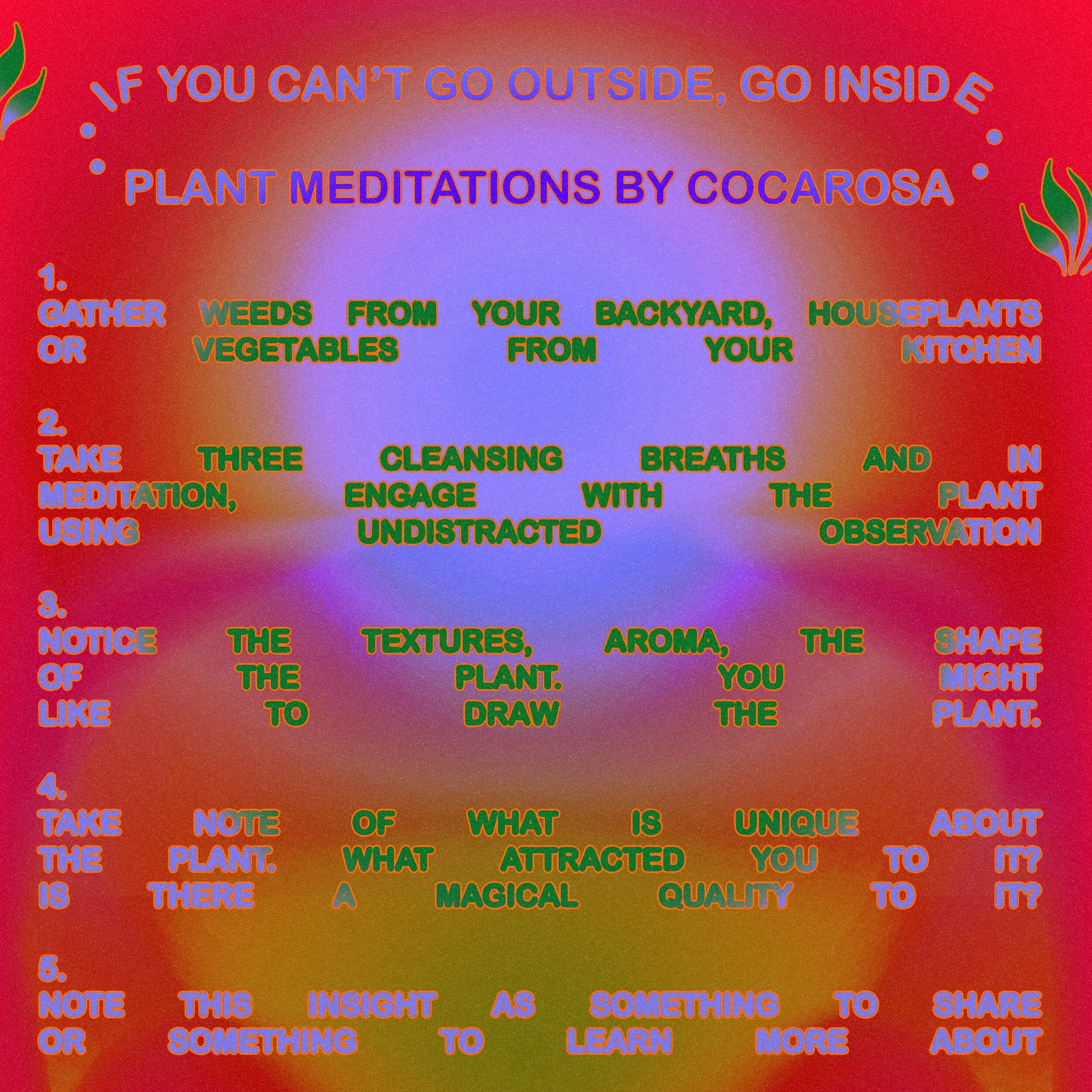 Plant Meditations with CocaRosa