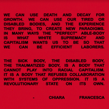 Understanding Disability Justice and Harm Reduction with Chiara Francesca&nbsp;