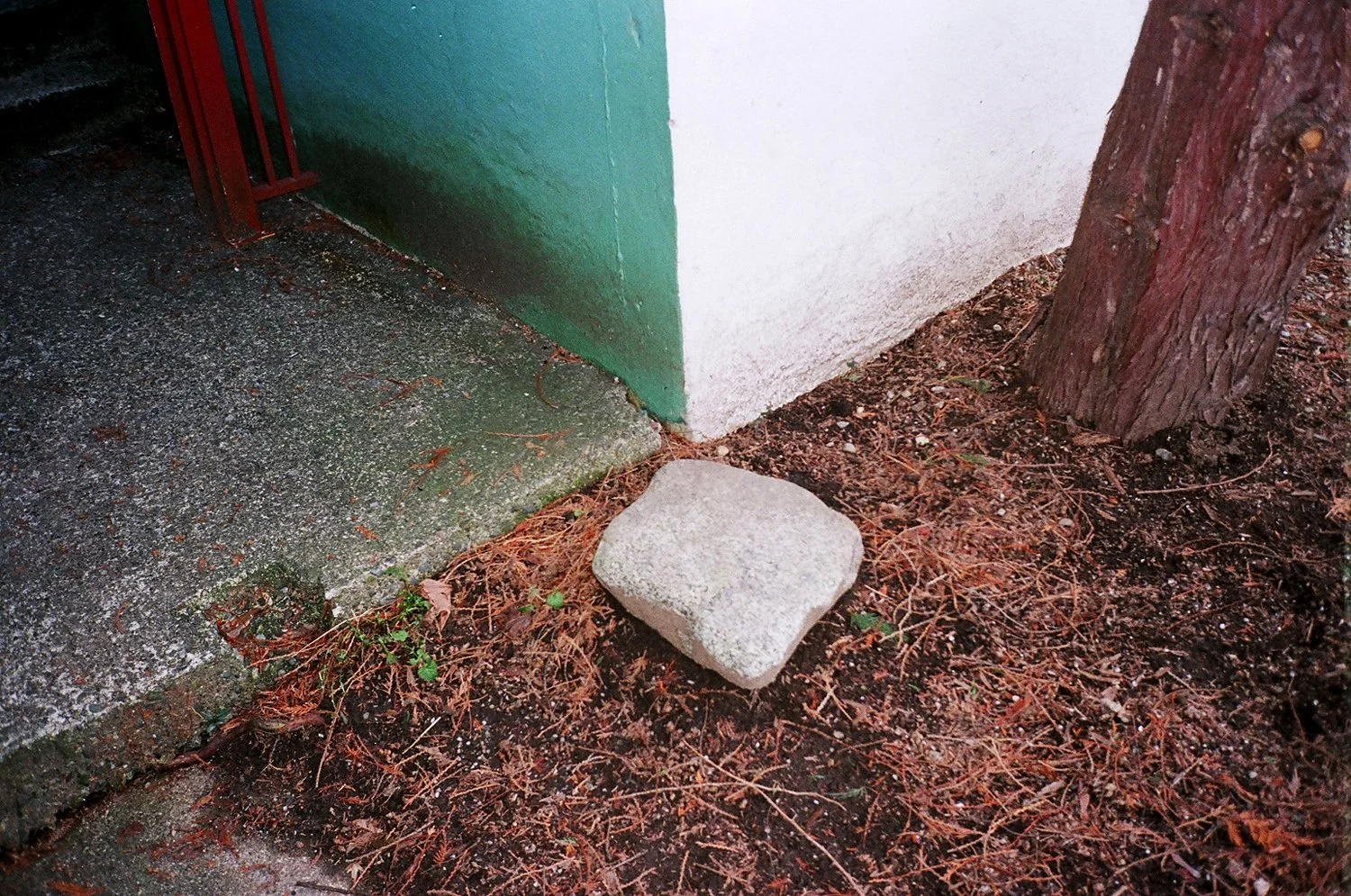31180005.jpg