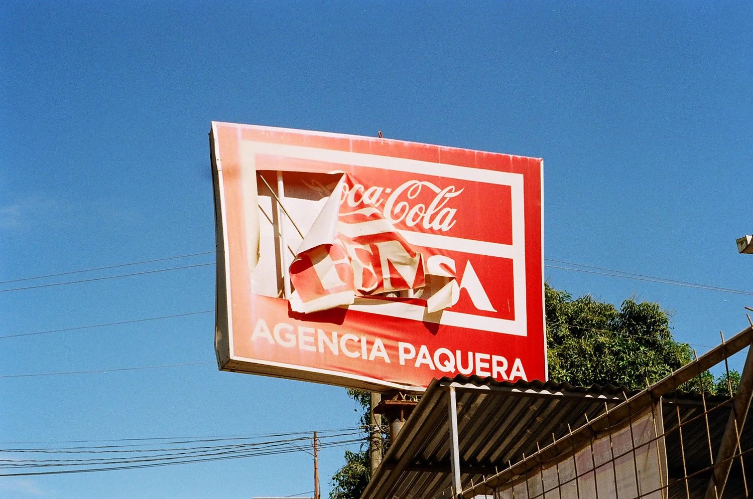 80250011.jpg