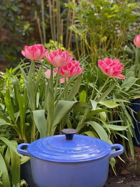 Credit: Amanda Bernstein