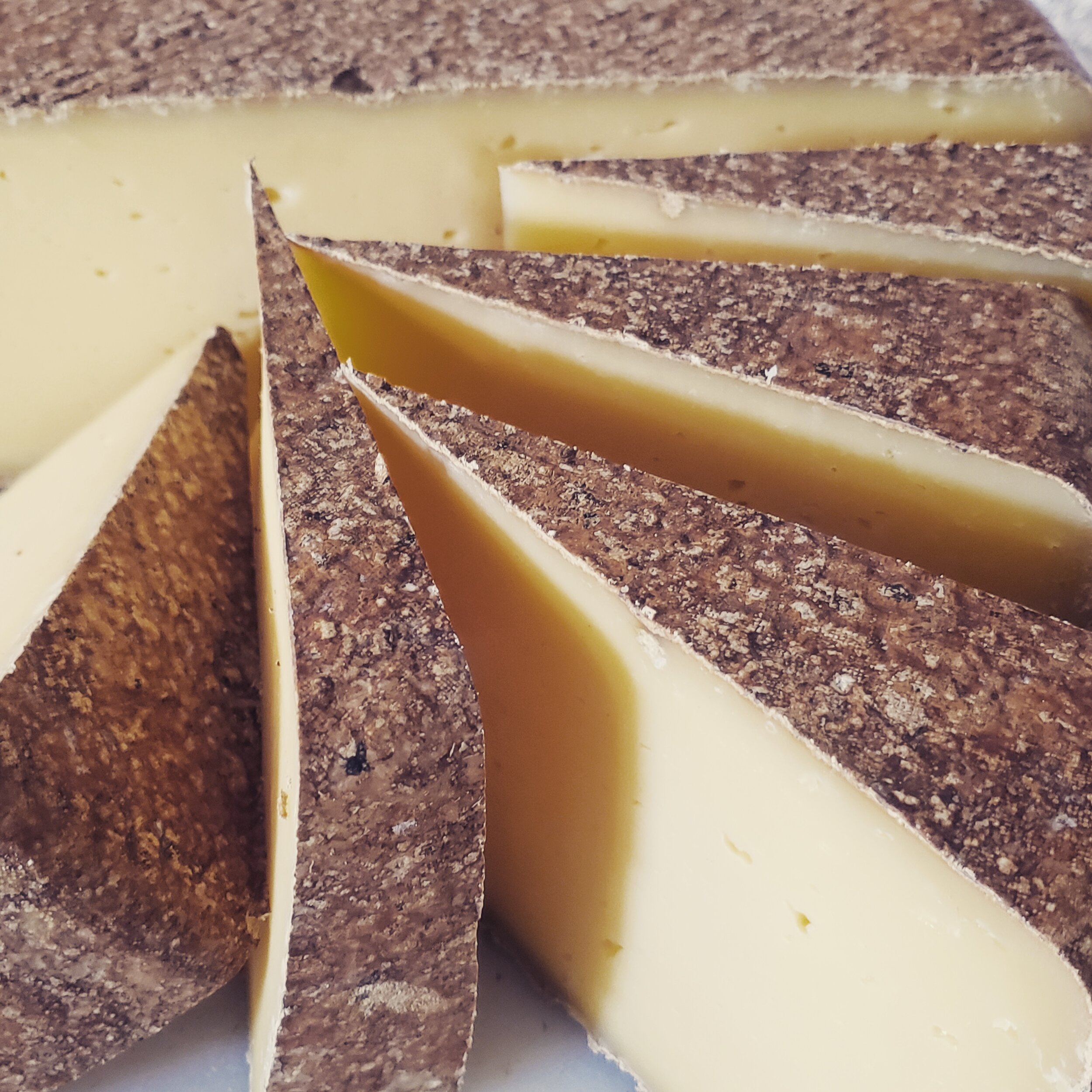 TOMME