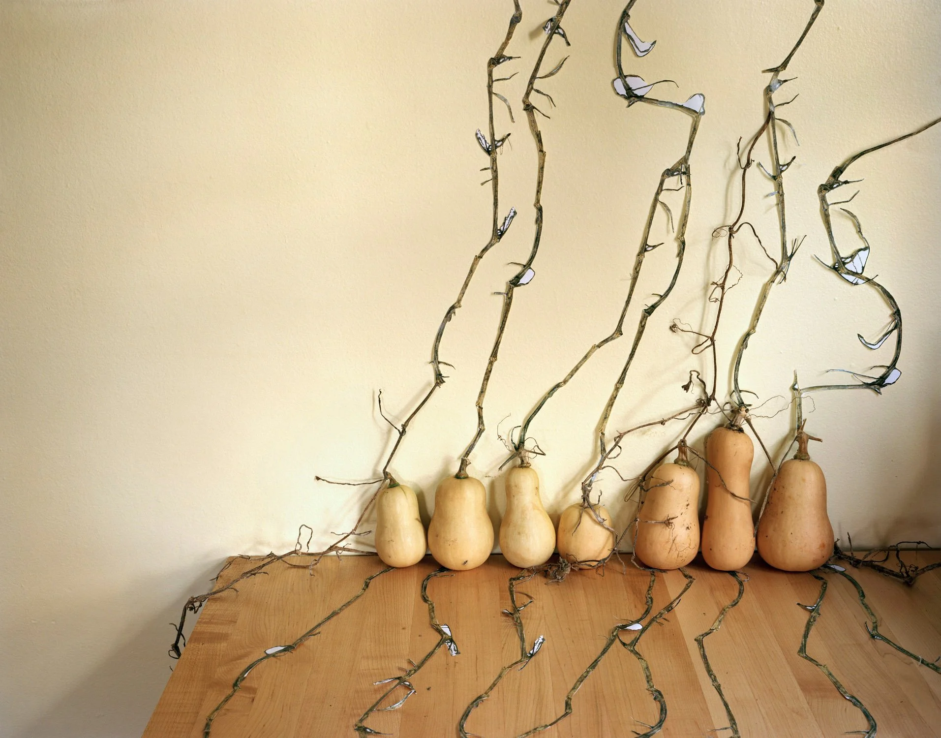 13-LF-SQUASH_9880 copy.jpg