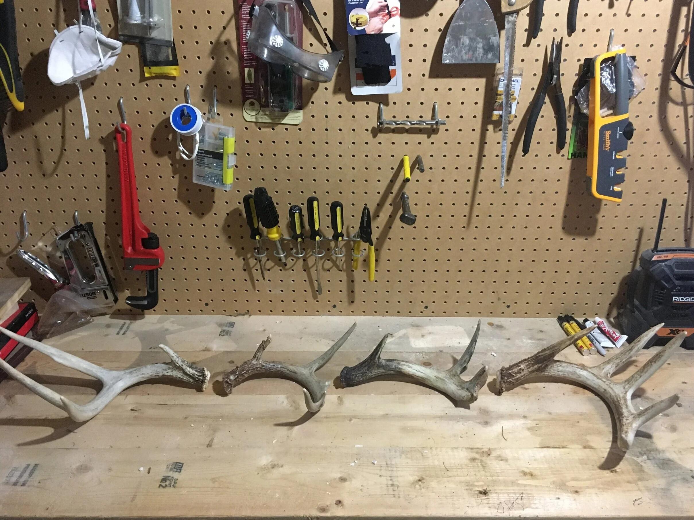 The refurbished antler has a few coloring issues, but overall it fits in well with some other fresh brown sheds I’ve found through the years.