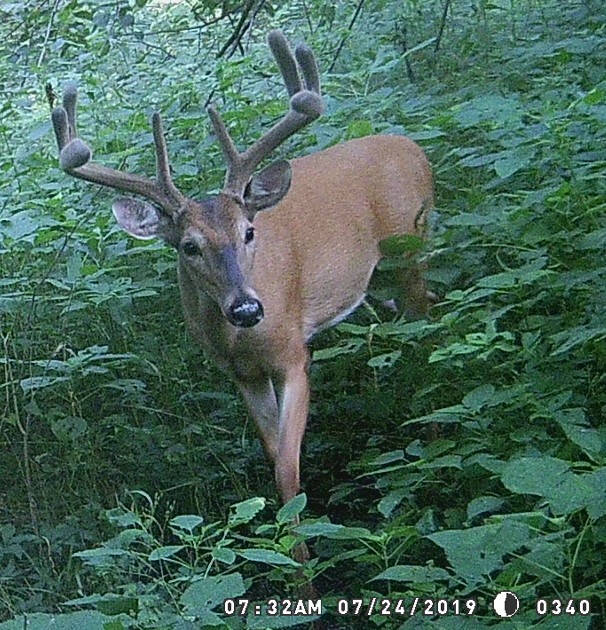 Ep. 3 Offseason Scouting- Both Near and Far