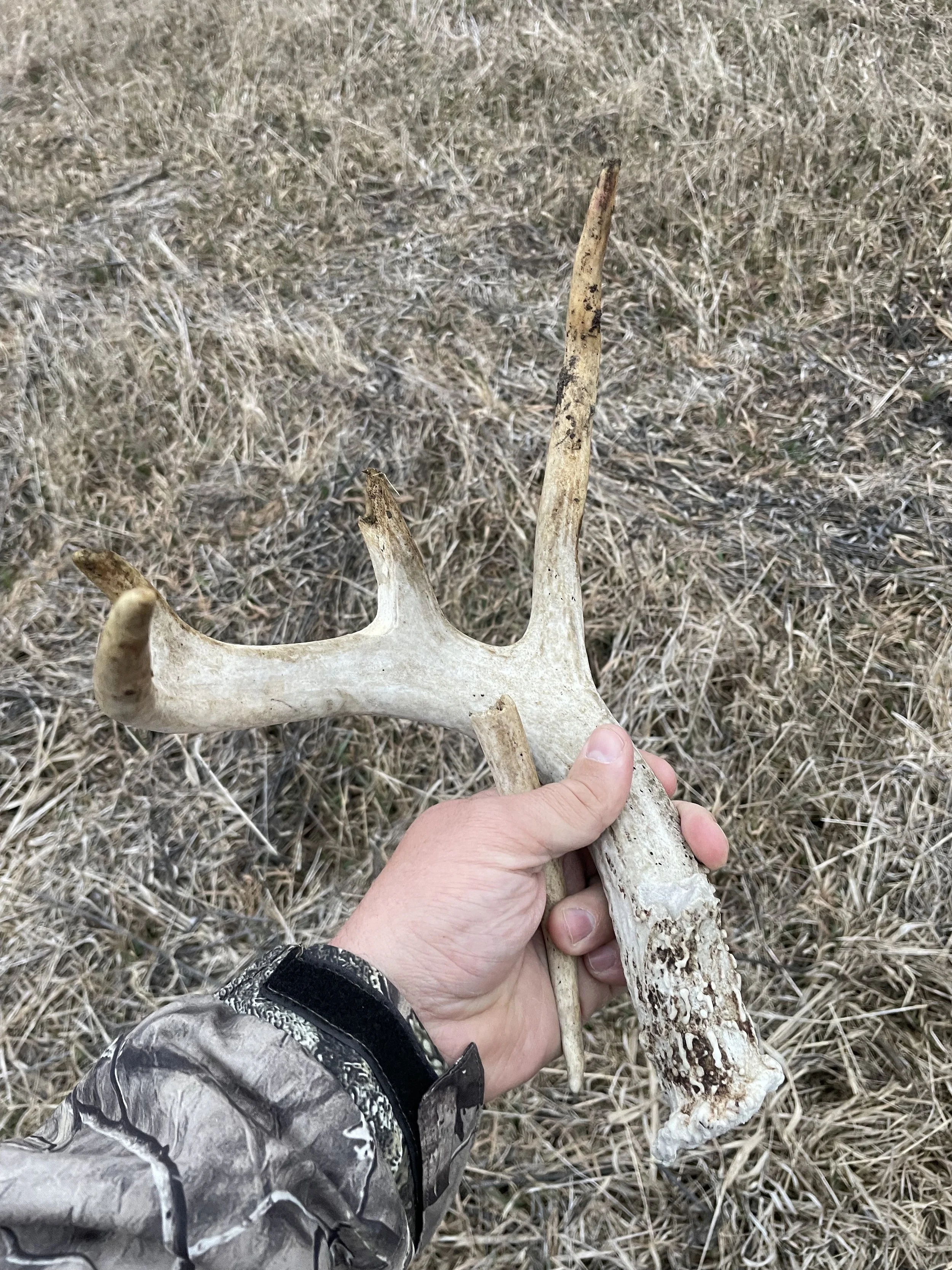Shed Hunting Tips That Actually Help (Part 3) — First Gen Hunter