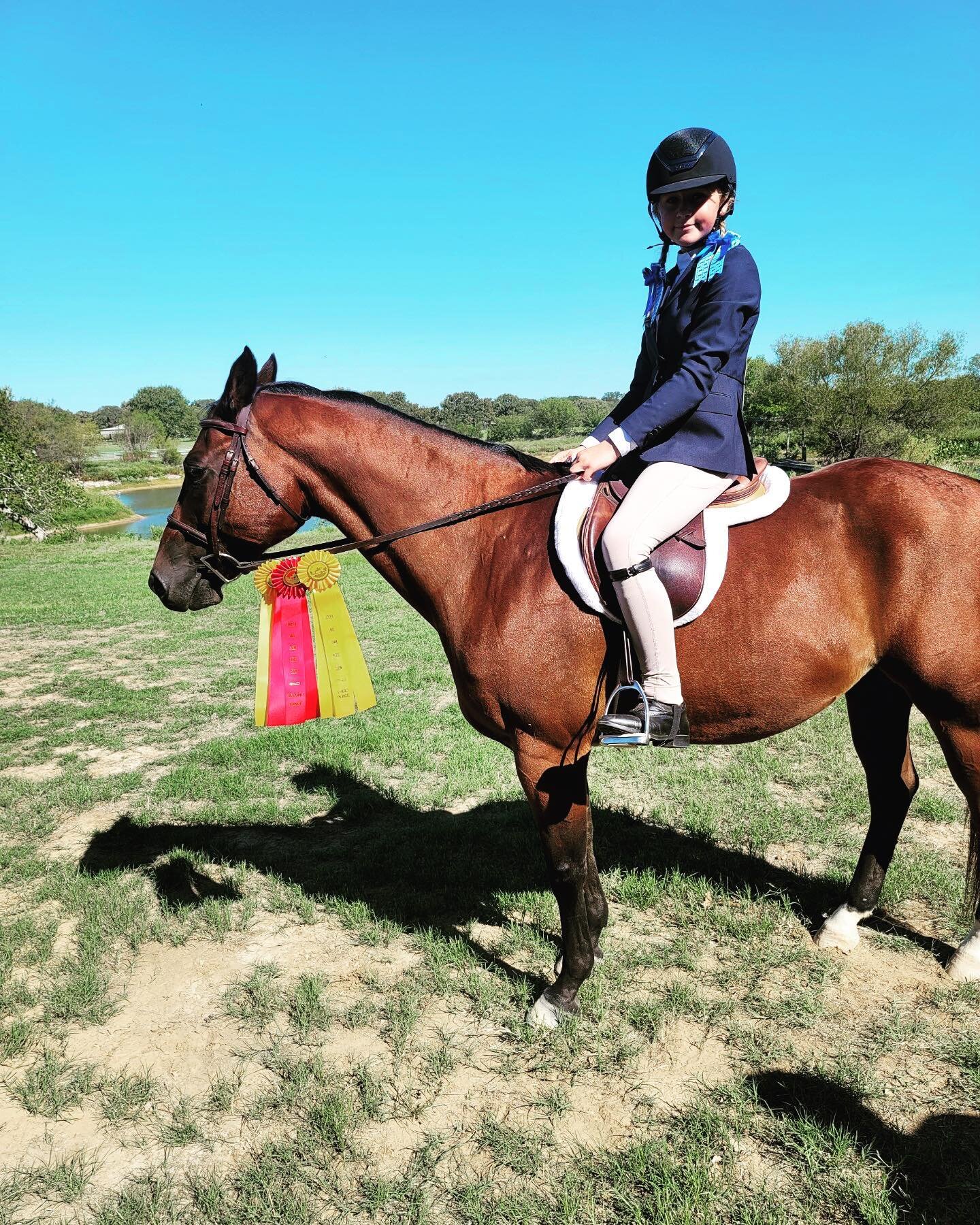 Last weekend @_hiddenlakes_, Adliegh and Mister Dallas won 2nd in the walk trot eq on the flat, and had 2 - 3rd place in wt ground polls. This was the first time showing for both the horse and rider!