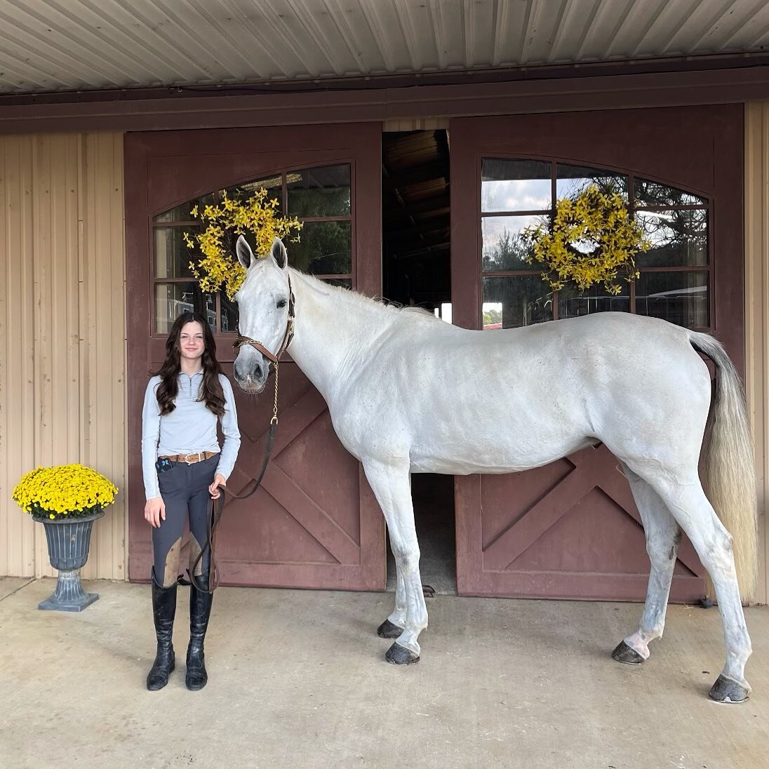 Special thanks to Trapp O&rsquo;Neal and TKO Sporthorses for such a great mare! We look forward to watching Addison and her new partner, Mira DKS, in the show ring!