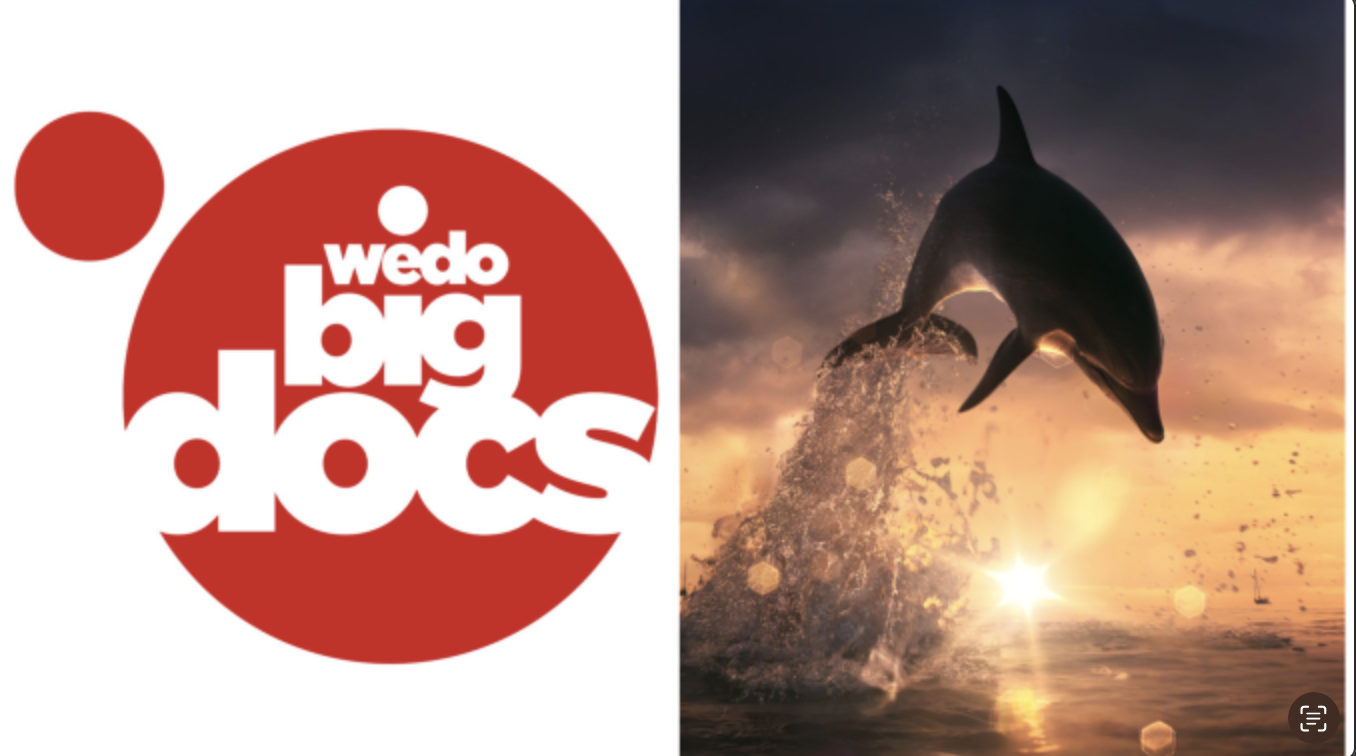WeDoTV Parent Video Solutions And Big Media Form FAST Channels Joint Venture