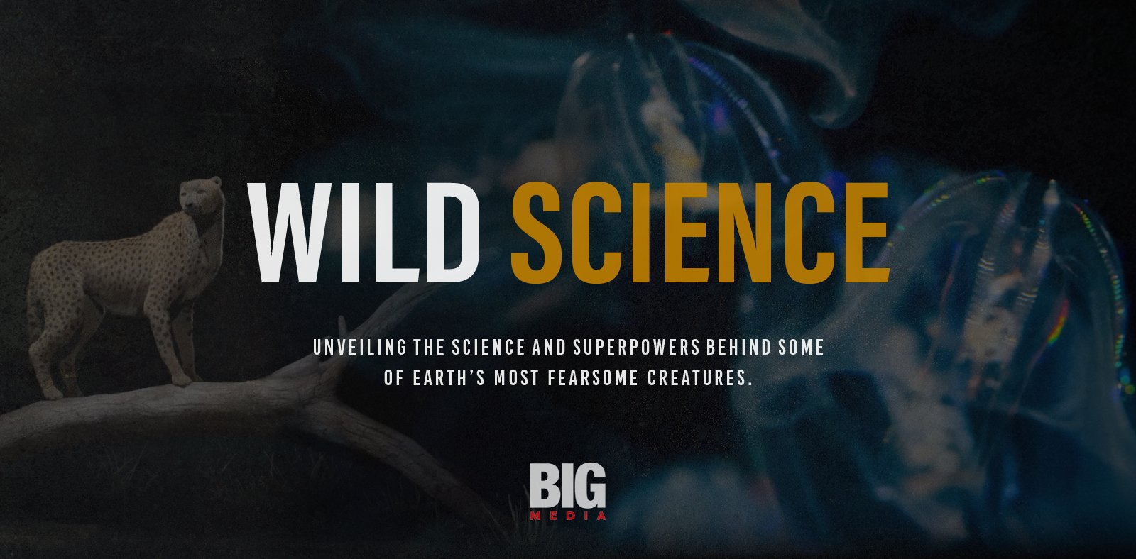 Wild_Science_V115.jpg