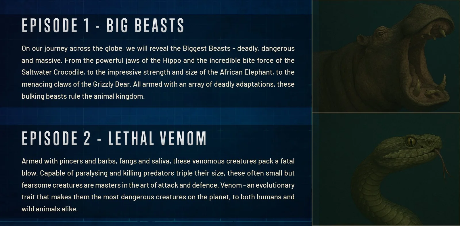 Danger_Decoded_In_the_Wild_V13.jpg