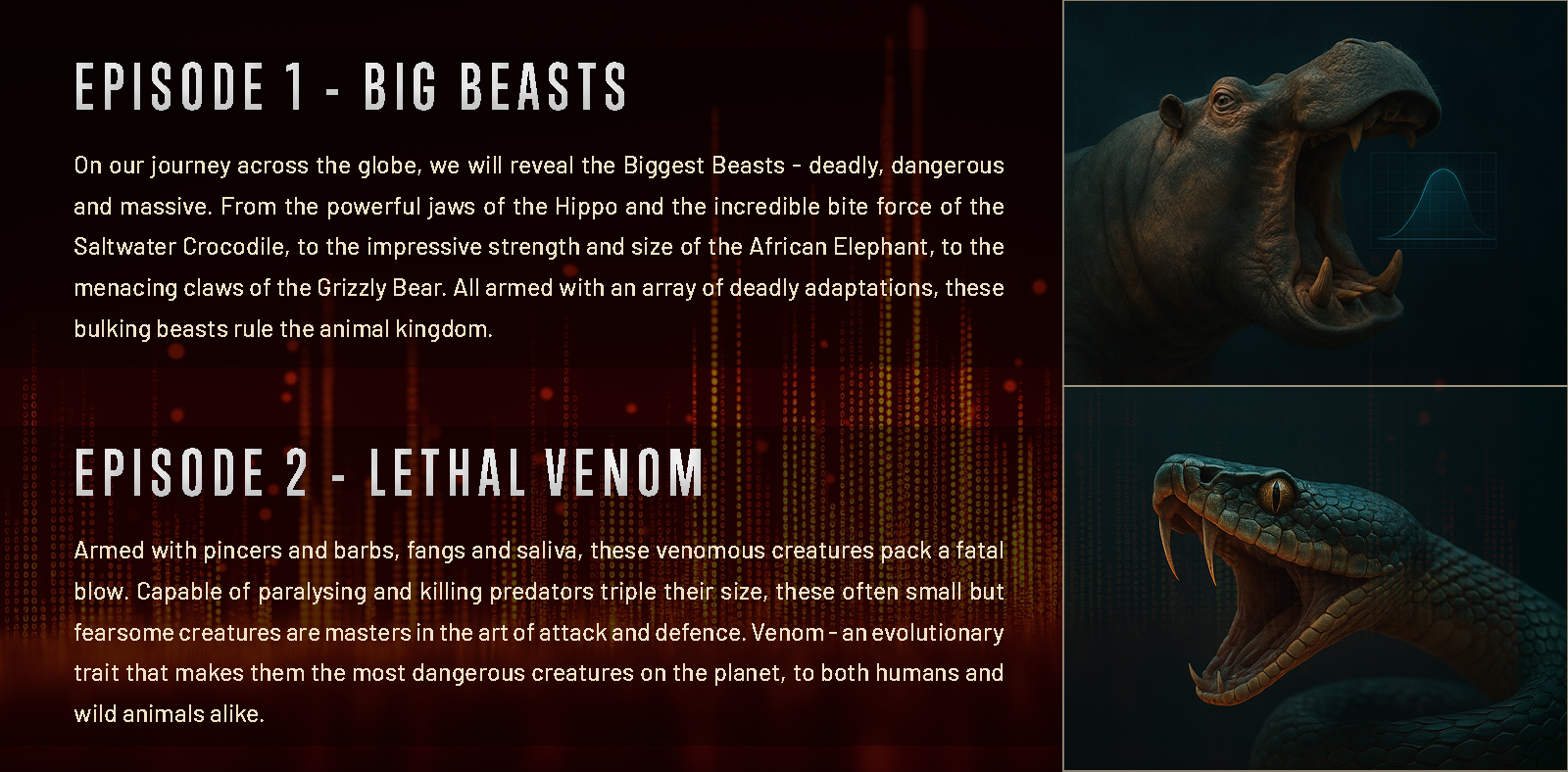 Danger_Decoded_In_the_Wild_V13.png