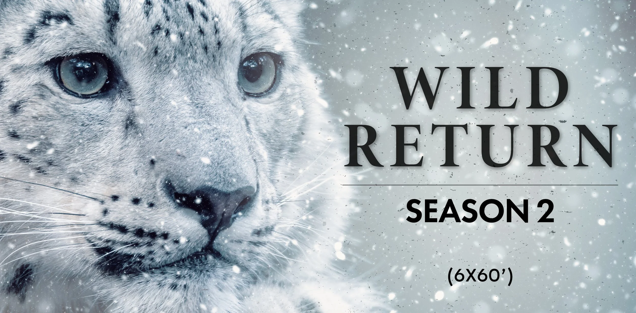 Wild_Return_S2_Treatment_V1.jpg