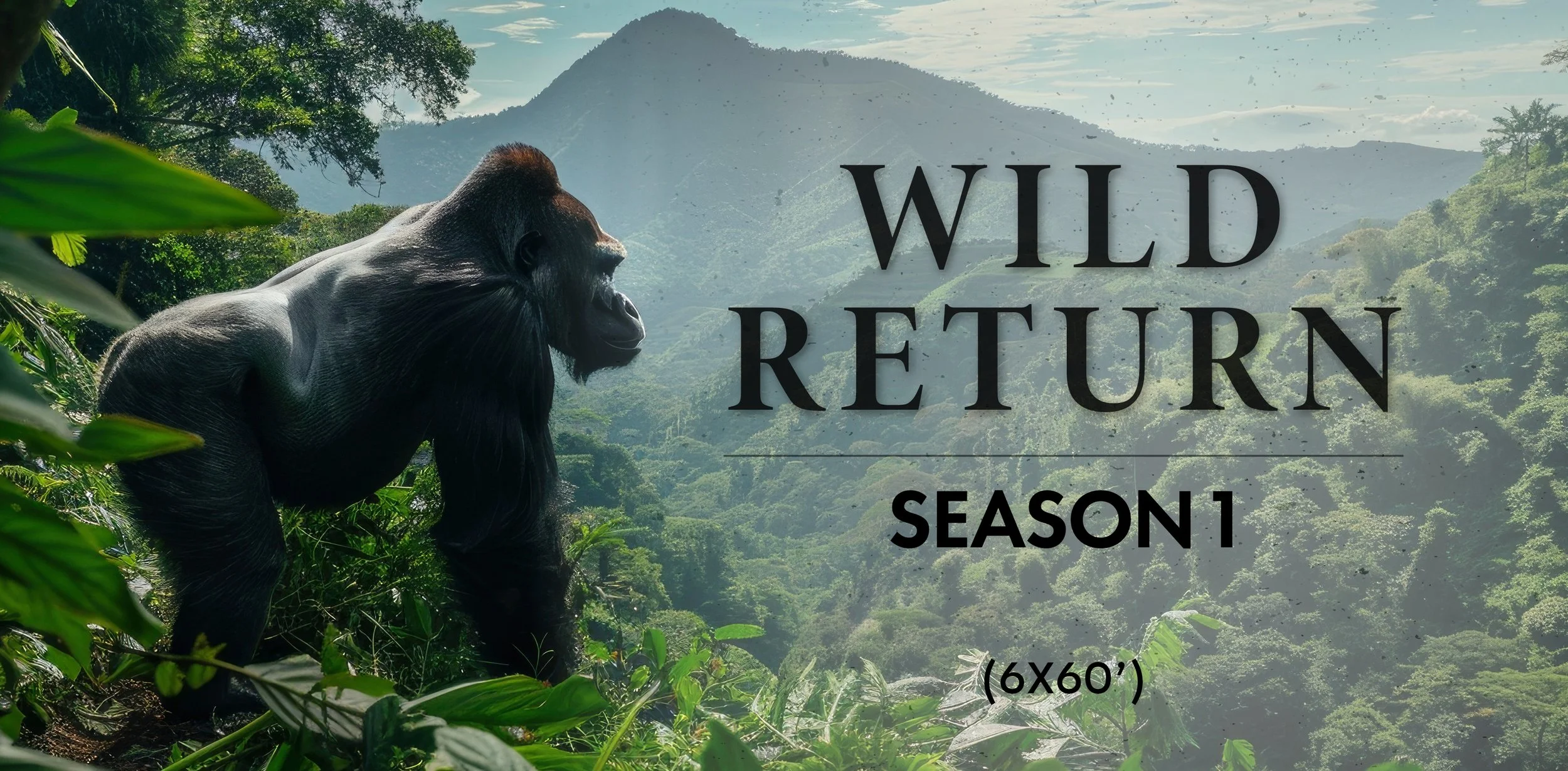 Wild_Return_S1_Treatment_V1.jpg