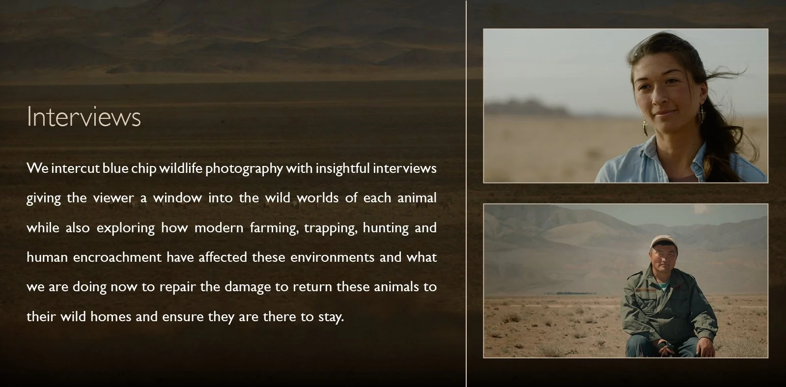 Wild_Return_S2_Treatment_V14.jpg