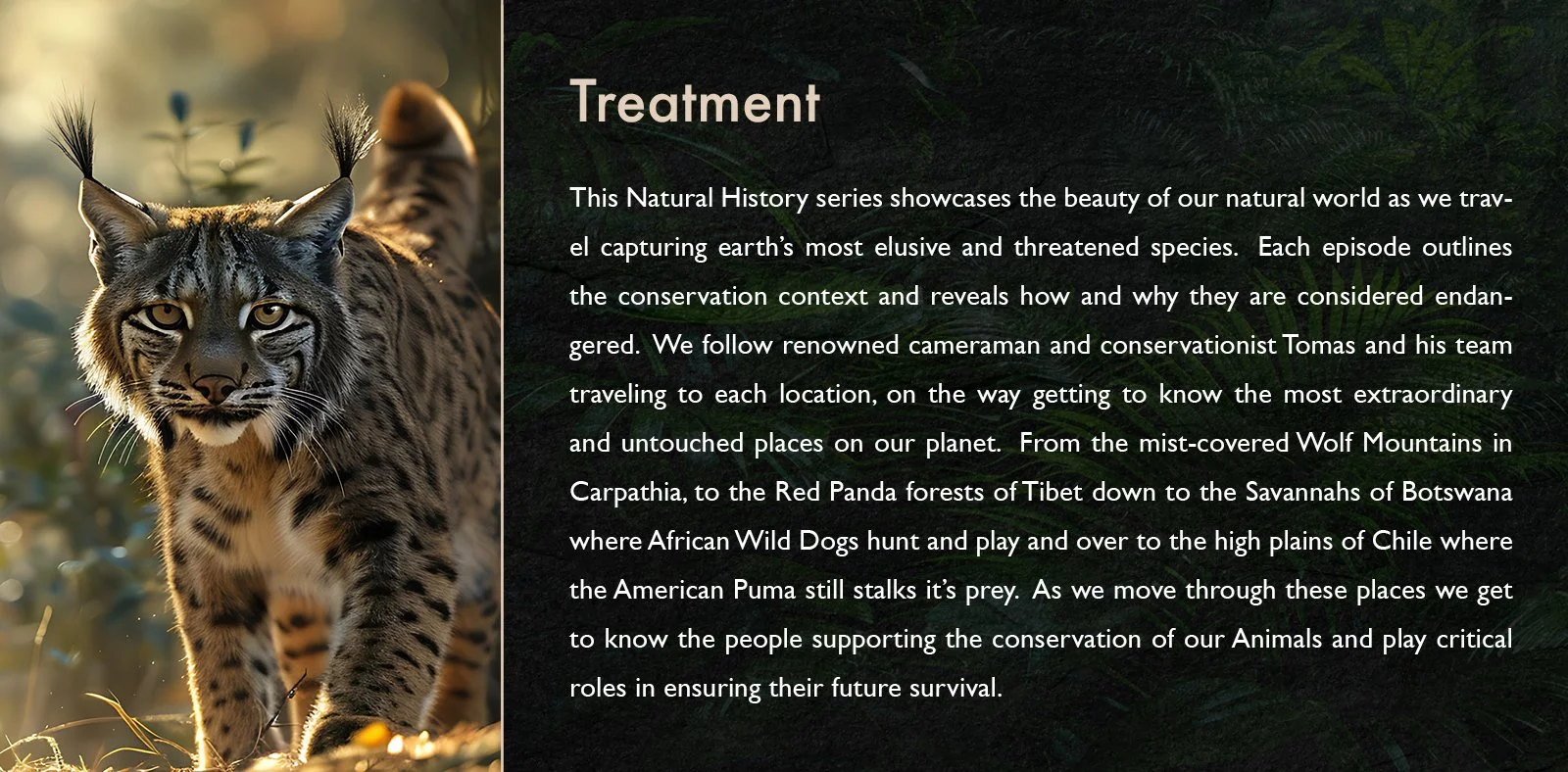 Wild_Return_S1_Treatment_V13.jpg