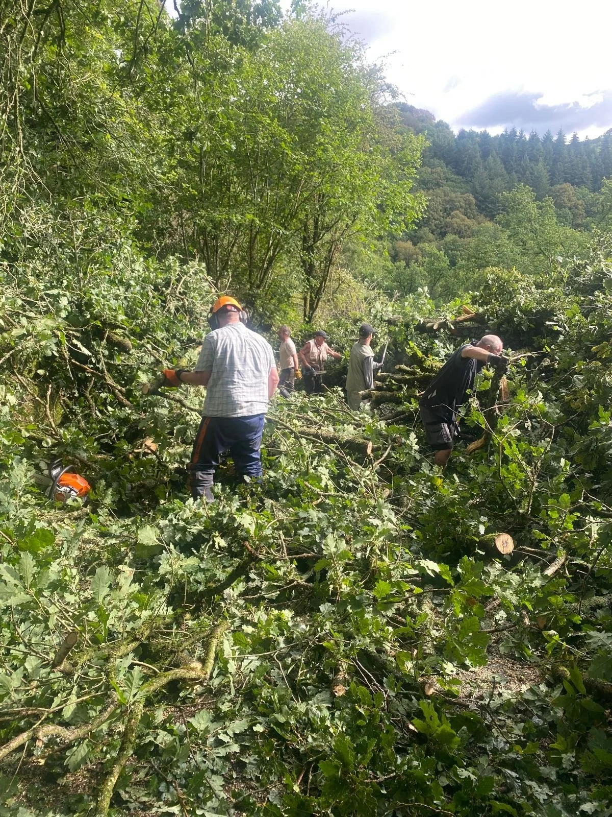 Clearing Washings Lane.jpg
