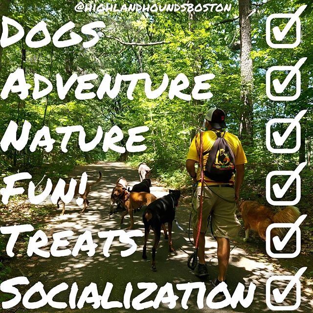 Our checklists are the best! Does your pup like all the *necessities* listed above? Of course they do! Head over to our website (link in bio) and sign up for a Pack Adventure now! 😎😍🐕 .⠀
.⠀
.⠀
.⠀
#dogs #dogsofinstagram #dogofthedayjp #dogstagram #