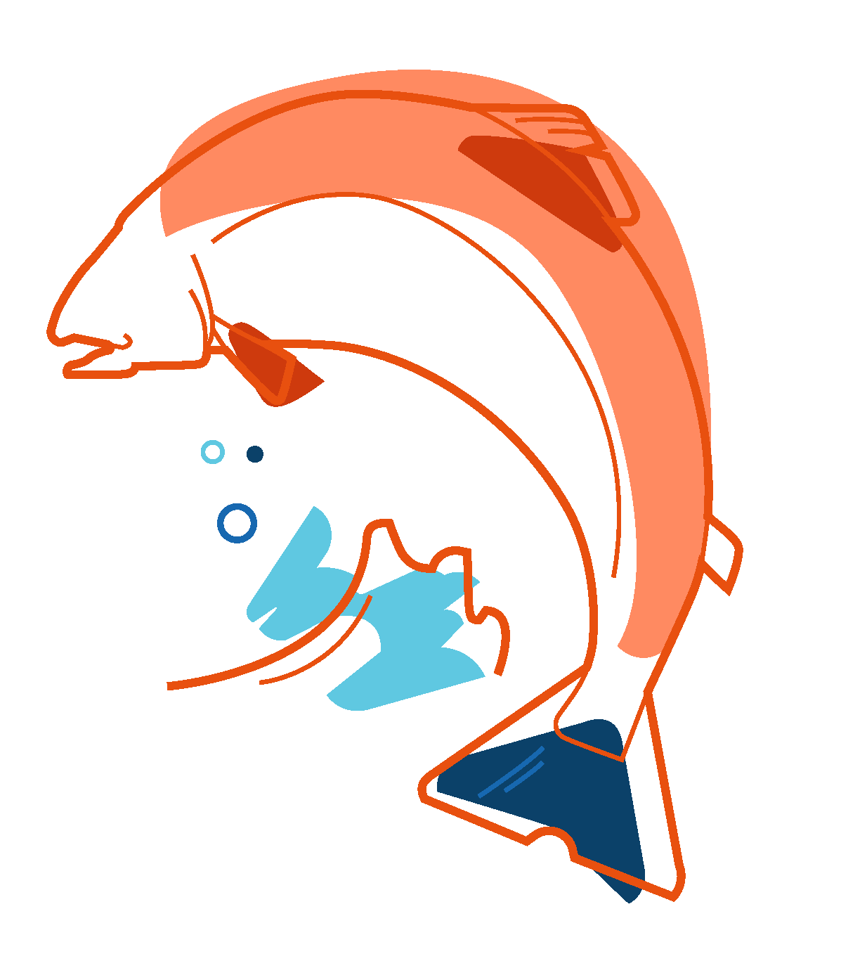 Hoppelaks-01.png