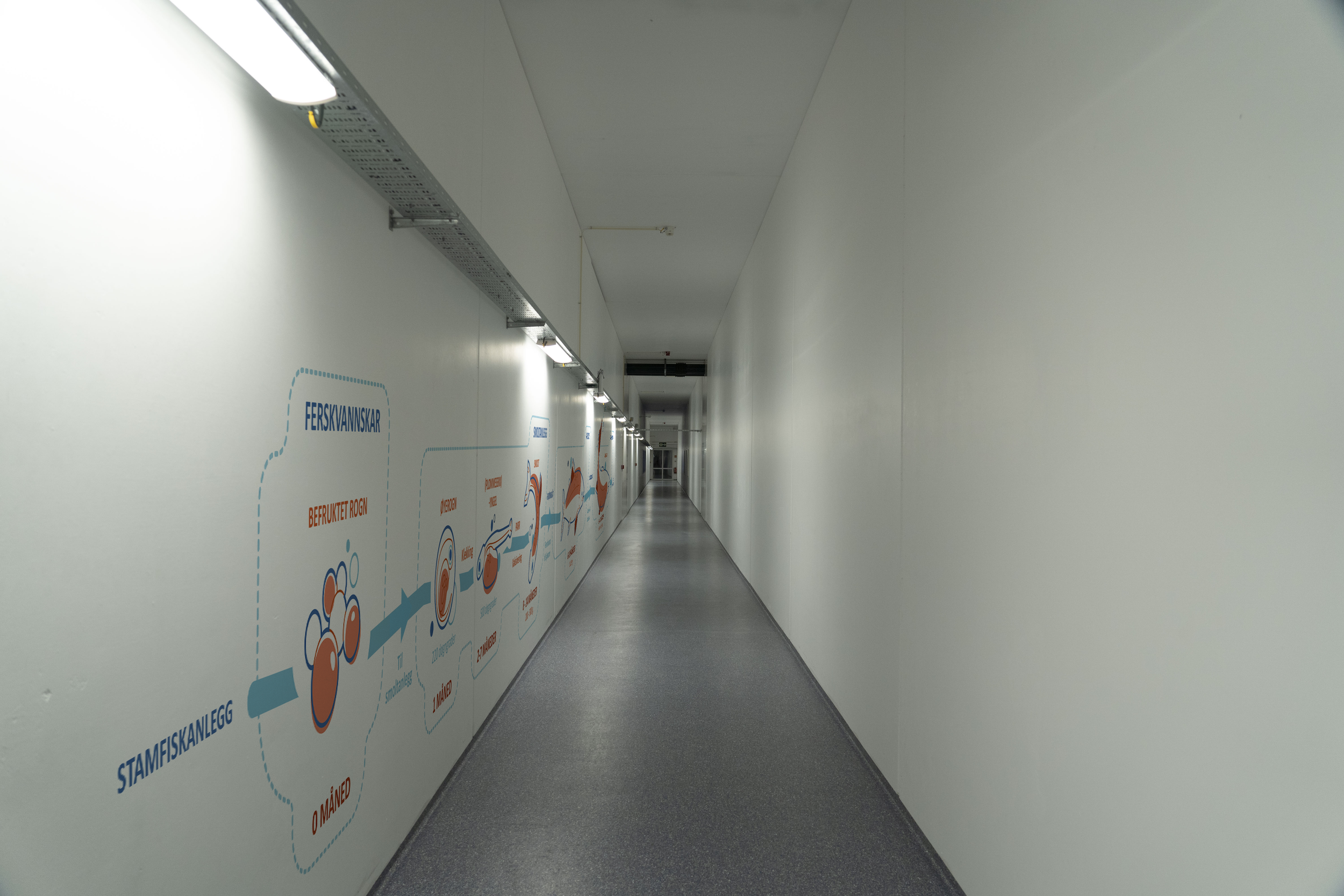 Mockup-illustrasjoner_lang+gang-02+copy.webp