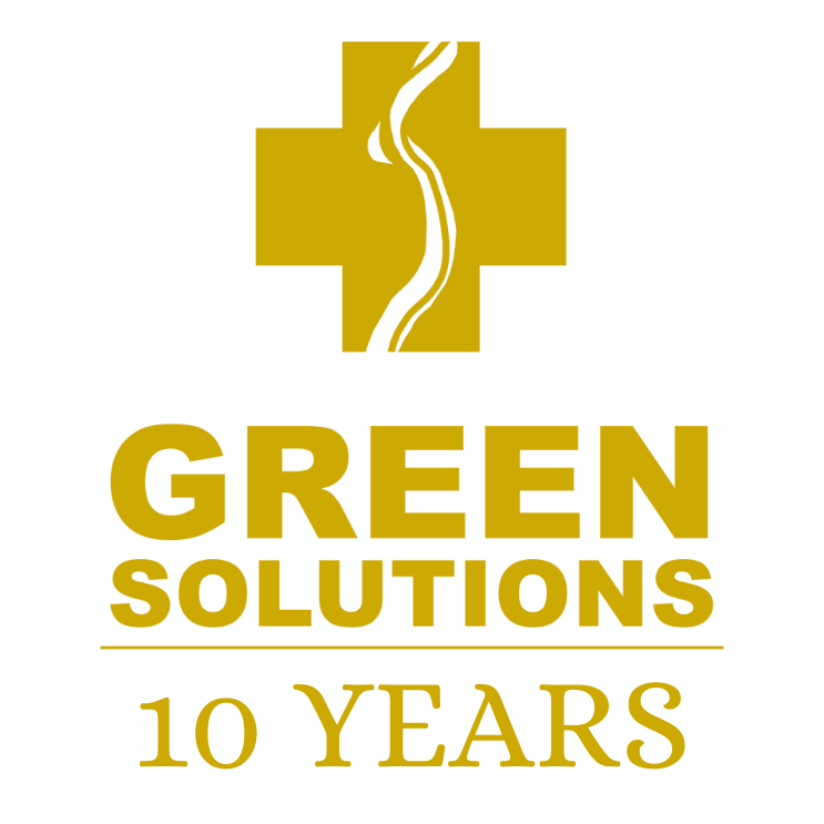 GS - 10 Year Website Logo.png