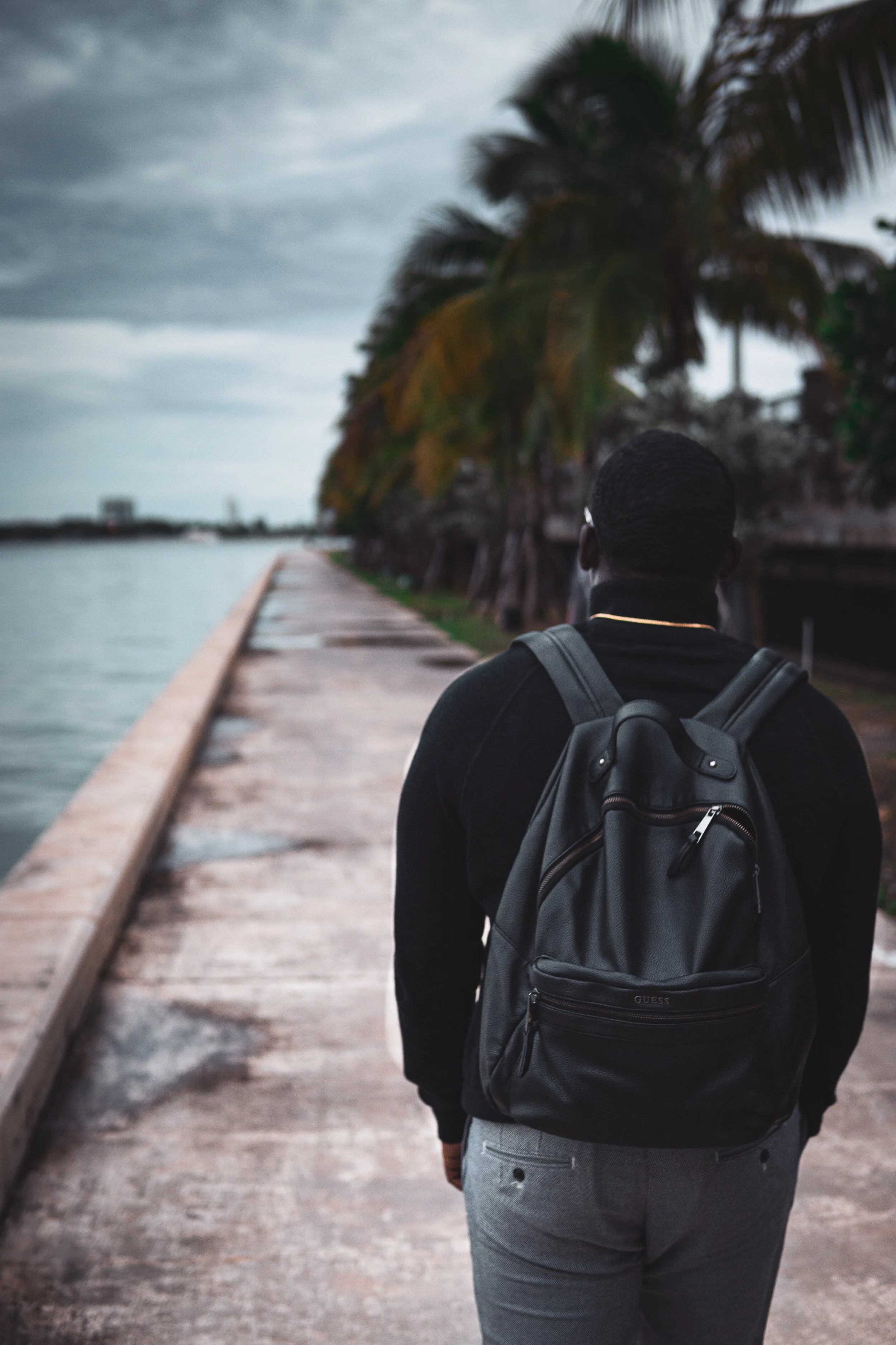 A person with a black backpack walking along a concrete pathway beside a body of water. There are palm trees on the side and a cloudy sky overhead.