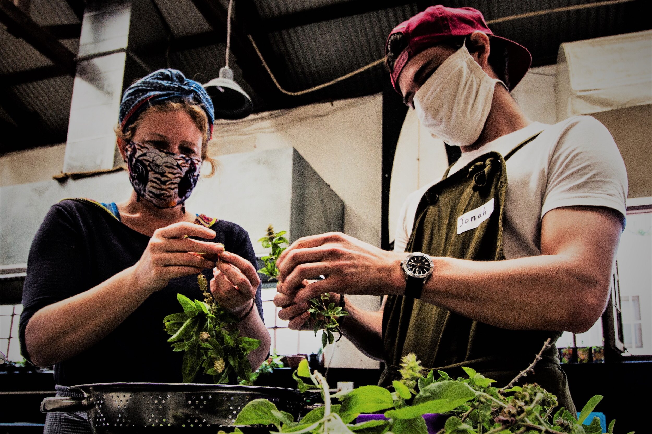 bluebird kitchen selects 223 (2).jpeg