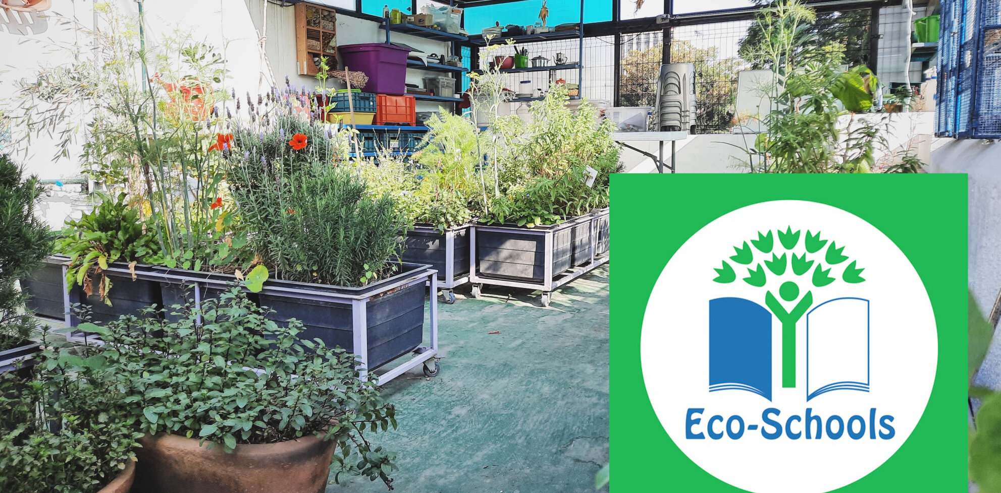 Eco-Schools : L’EFAD s’engage !