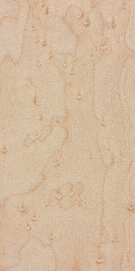 Maple Birdseye.jpg