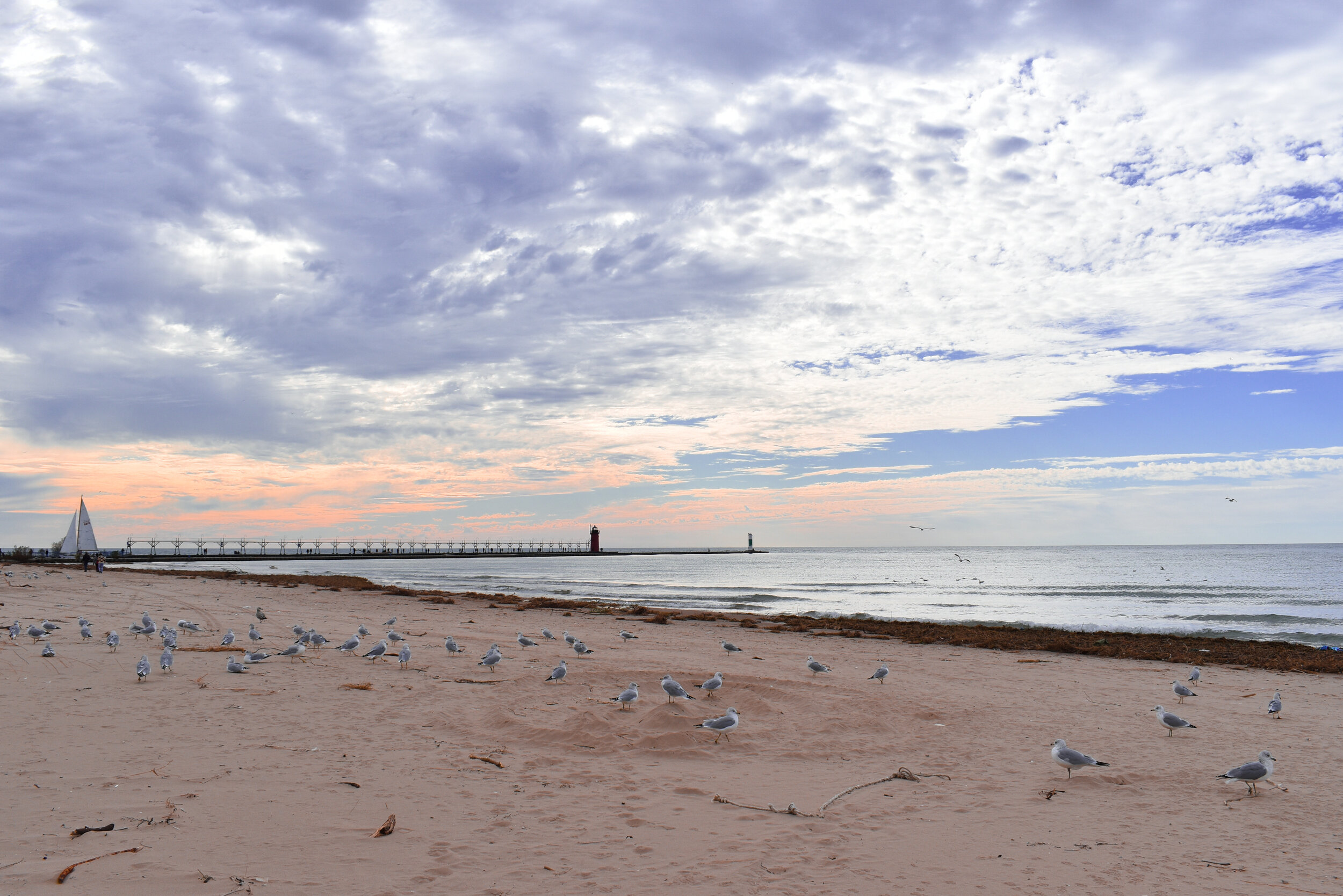 DSC_0115-3.jpg