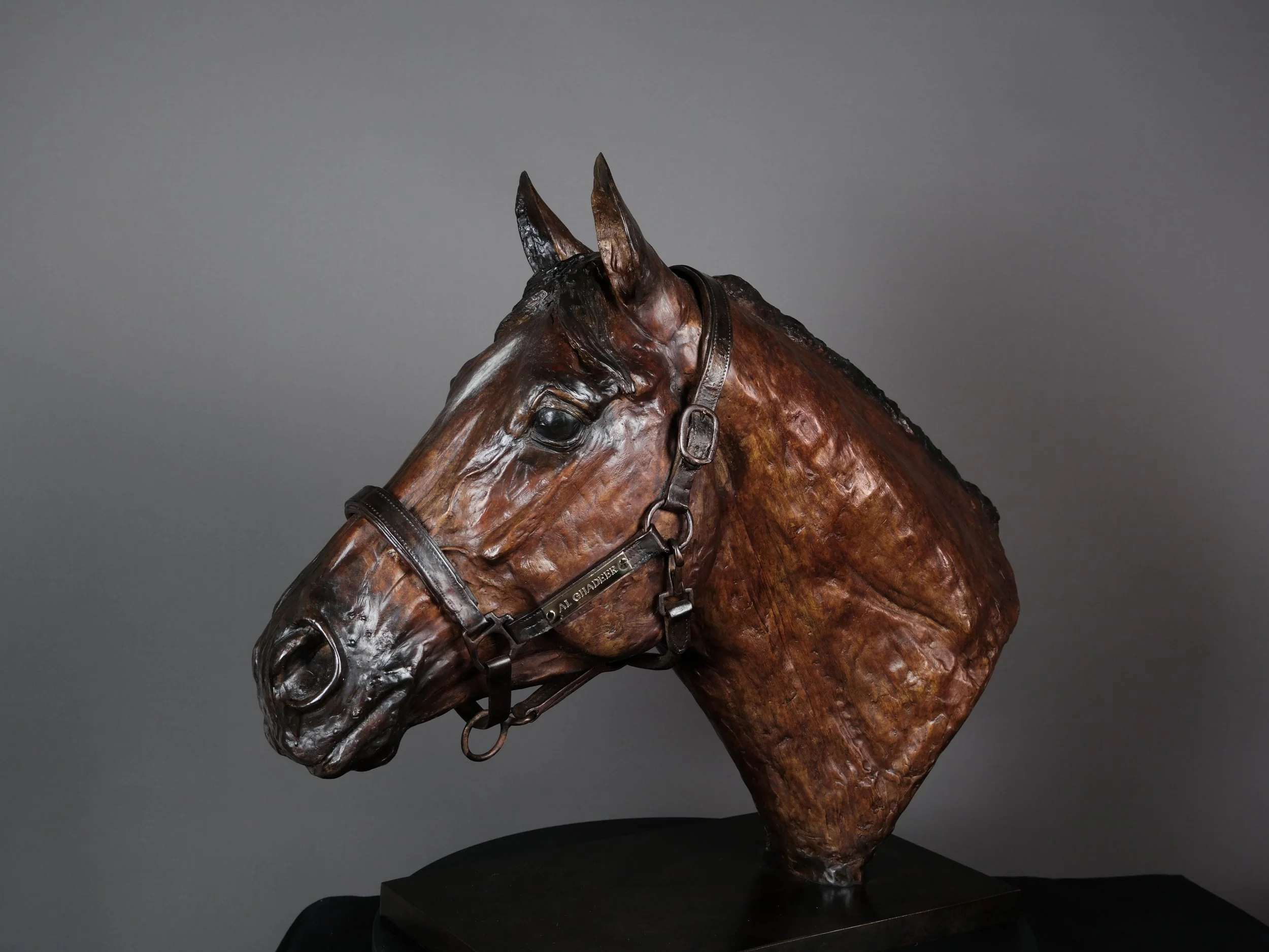 Race horse head
