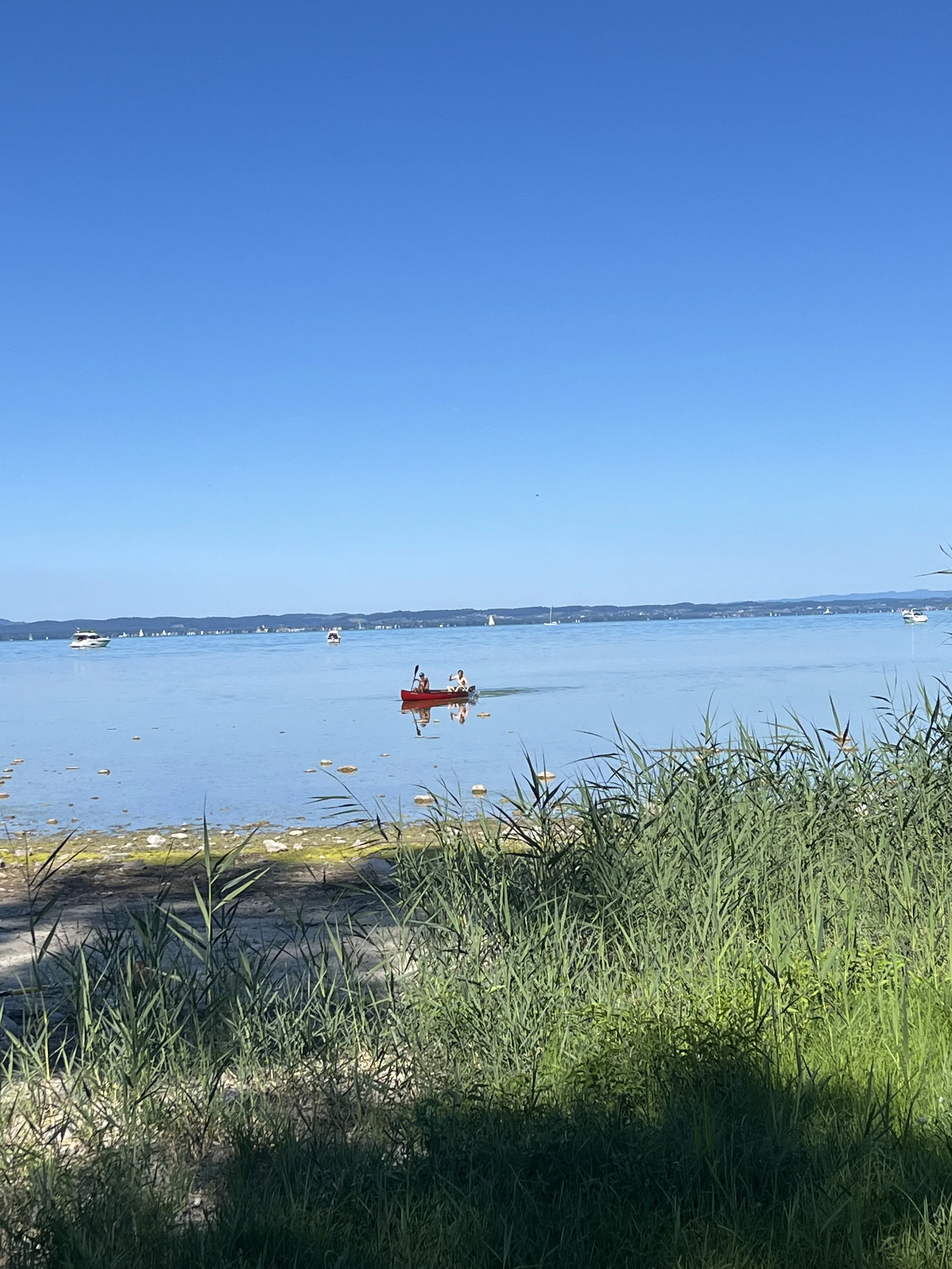 IMG_6193.jpeg