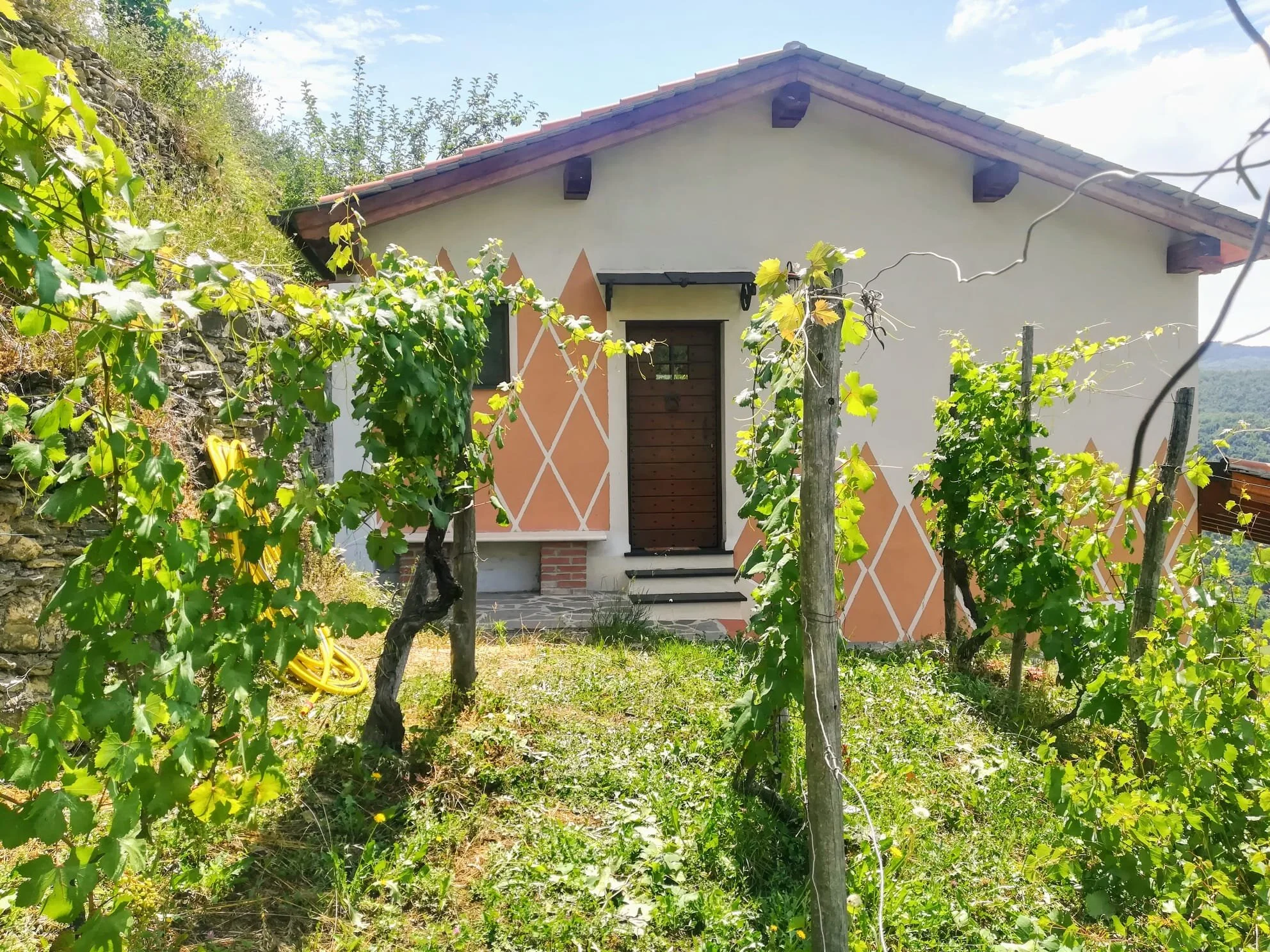 casetta tra le vigne.jpeg