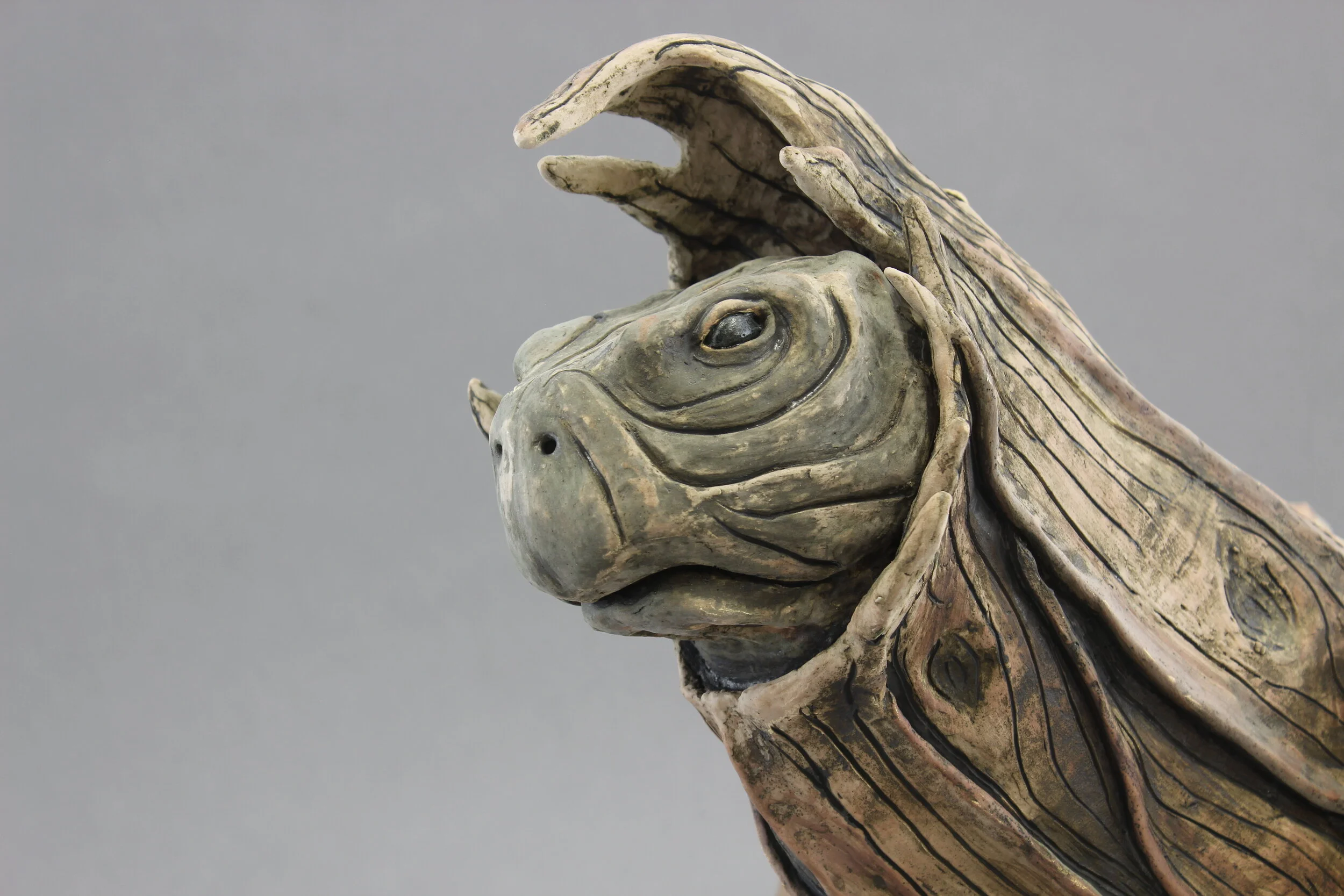 Bristlecone Tortoise Stoneware Spring 2019