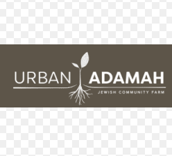 Urban Adamah: Young Adults Programs Director
