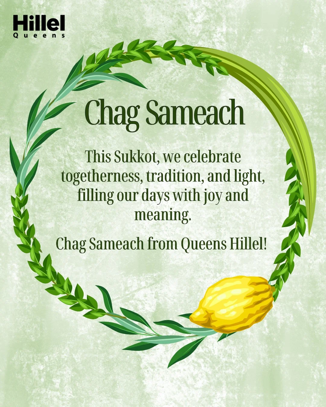 🍋🌿 Chag Sameach! Queens Hillel wishes you a bright and meaningful Sukkot! 🌿✨⁠ Don't forget to check out our Sukkah at QC! Located outside of the SU, we invite you to eat, enjoy programming and enjoy the Sukkah all week!⁠
⁠
⁠
⁠
⁠
⁠
#queenshillel #h